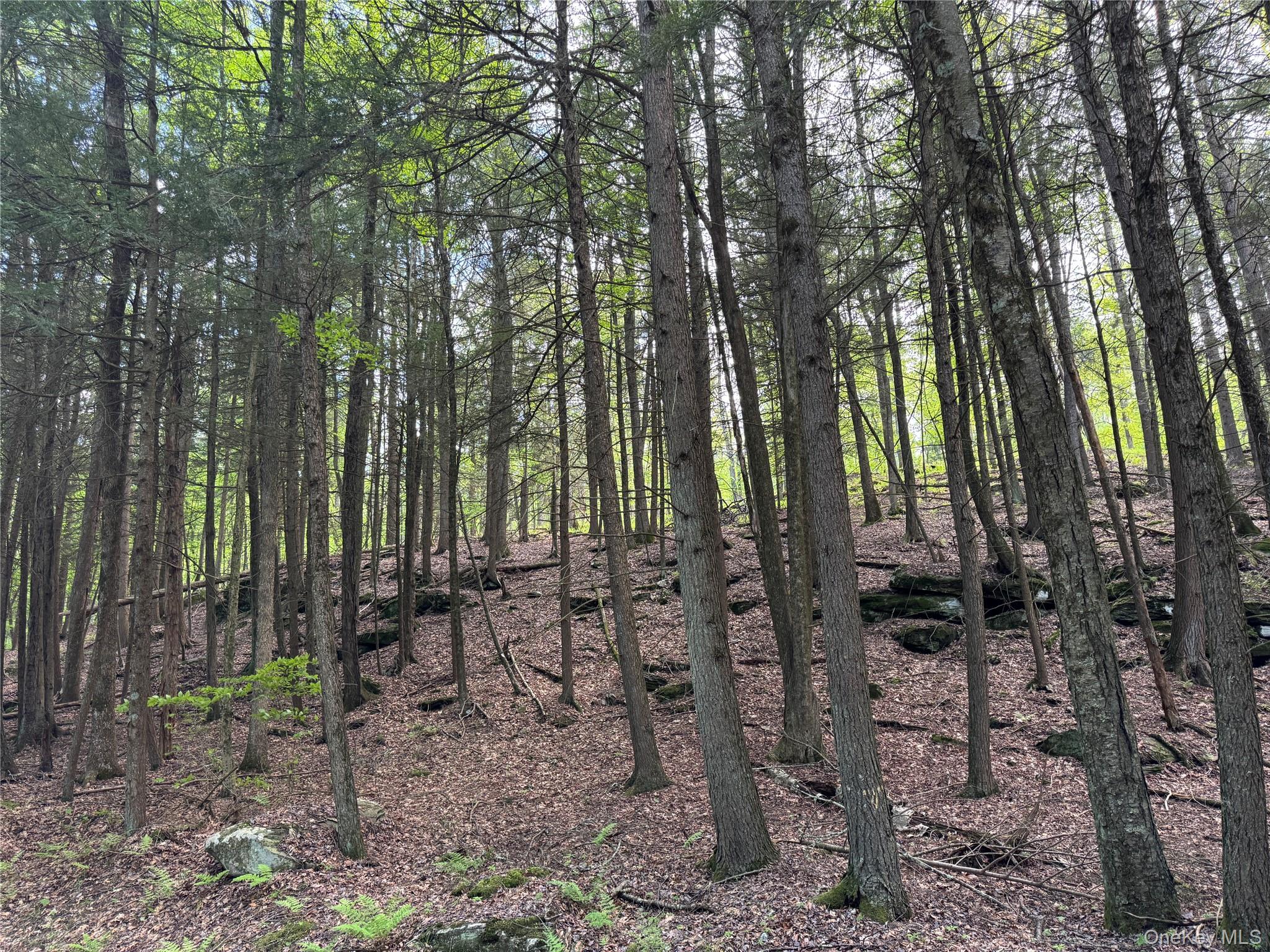 632 New Turnpike Road, Cochecton, NY 12726