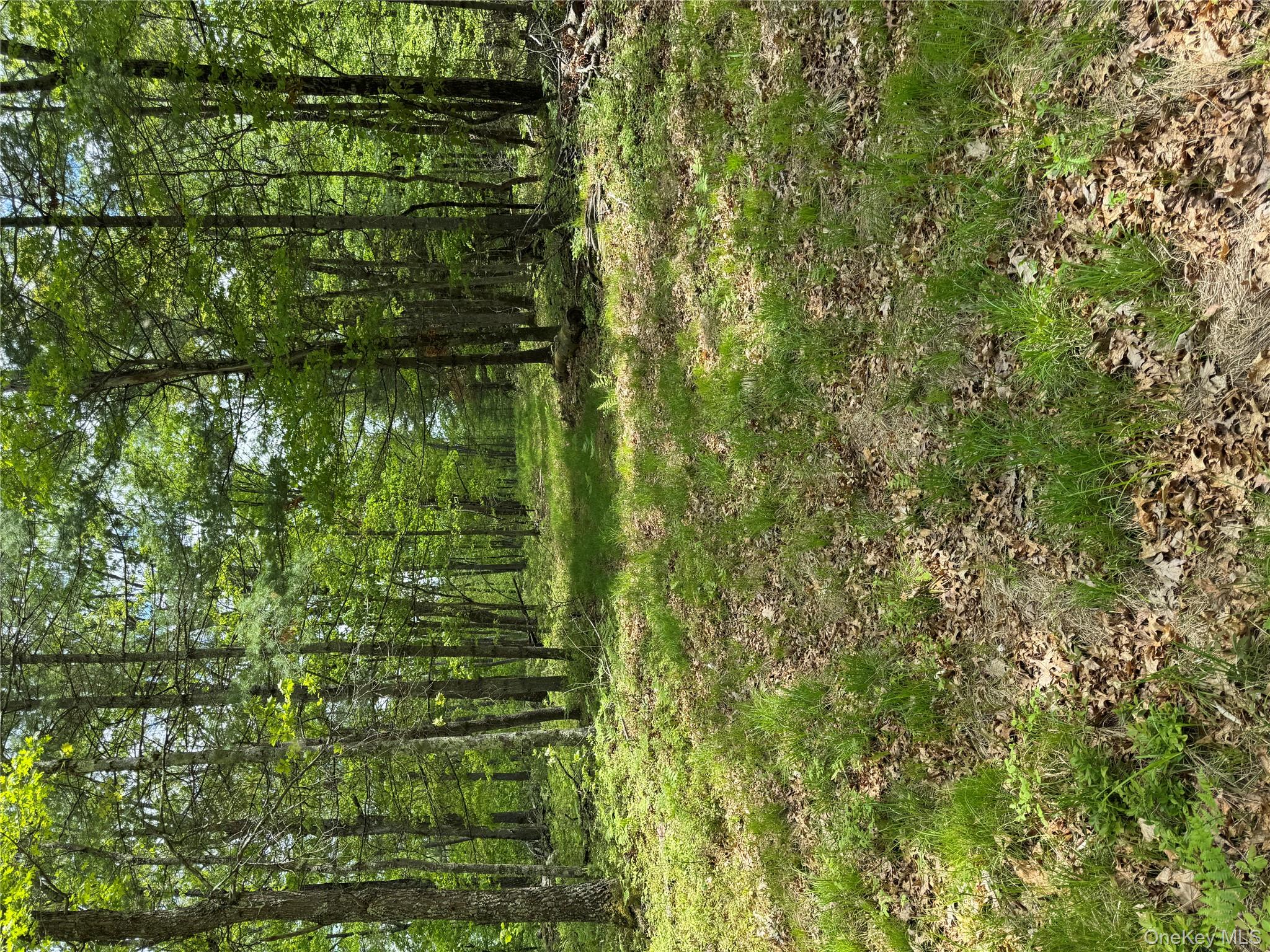 632 New Turnpike Road, Cochecton, NY 12726