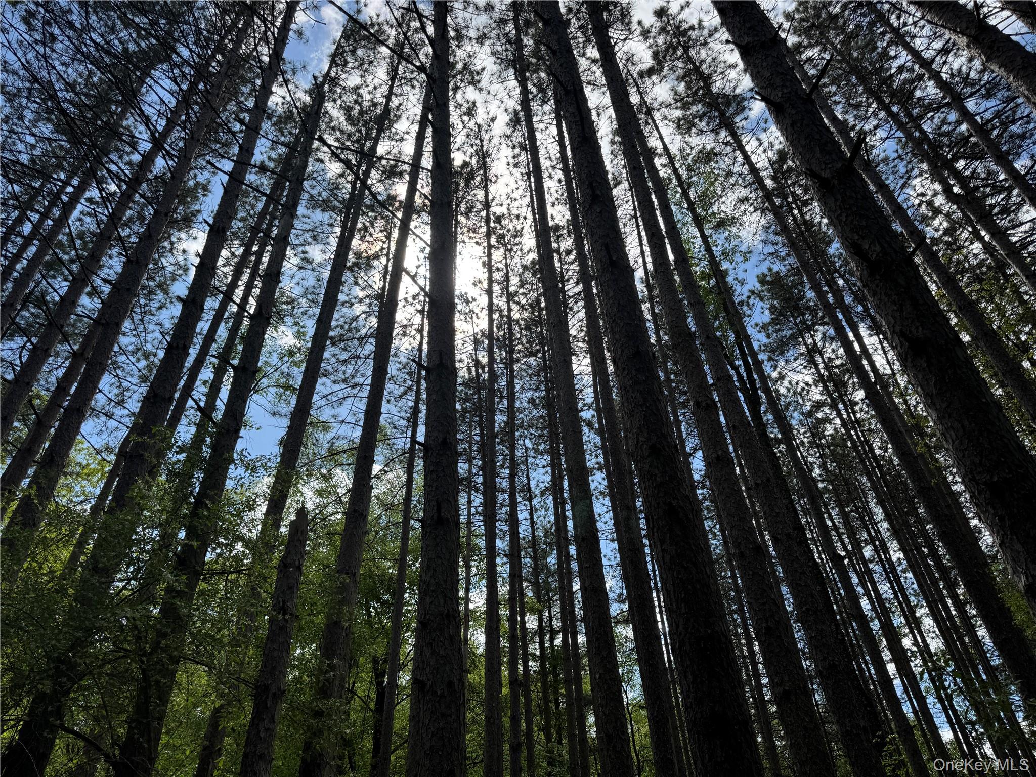 632 New Turnpike Road, Cochecton, NY 12726