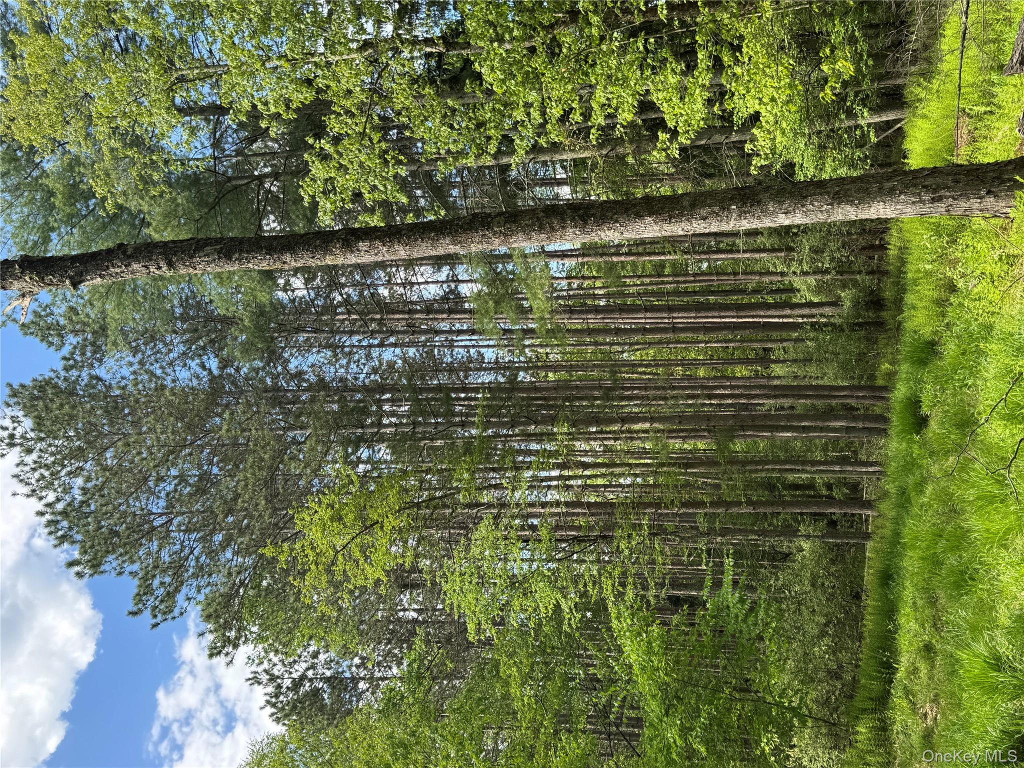 632 New Turnpike Road, Cochecton, NY 12726