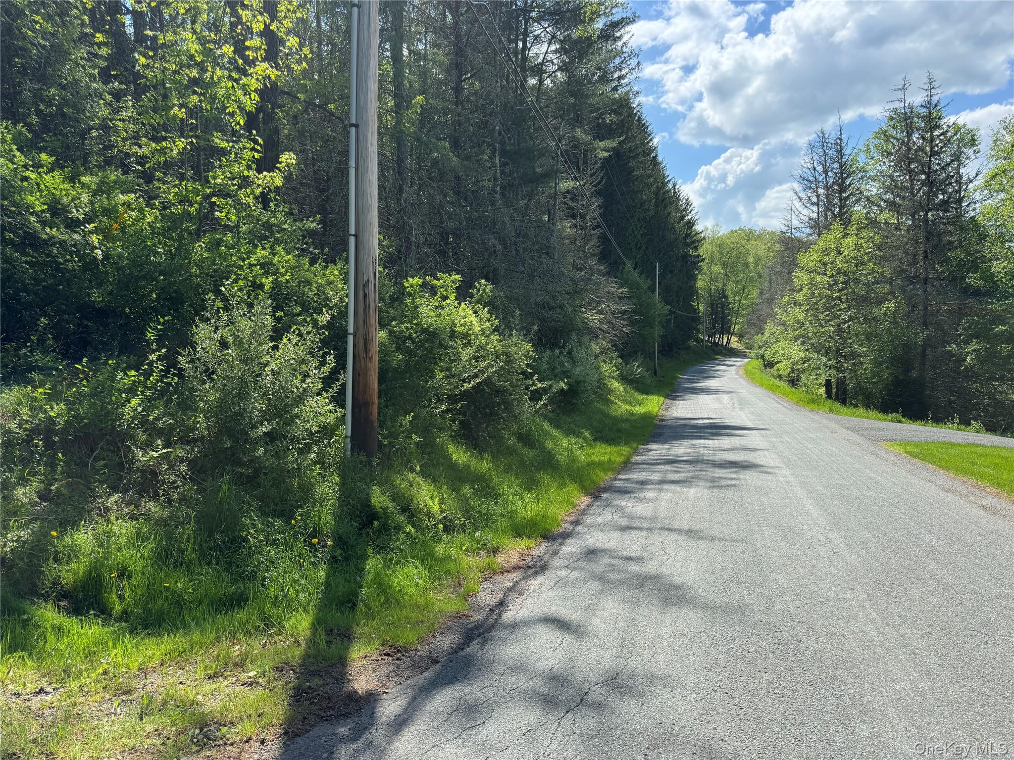 632 New Turnpike Road, Cochecton, NY 12726