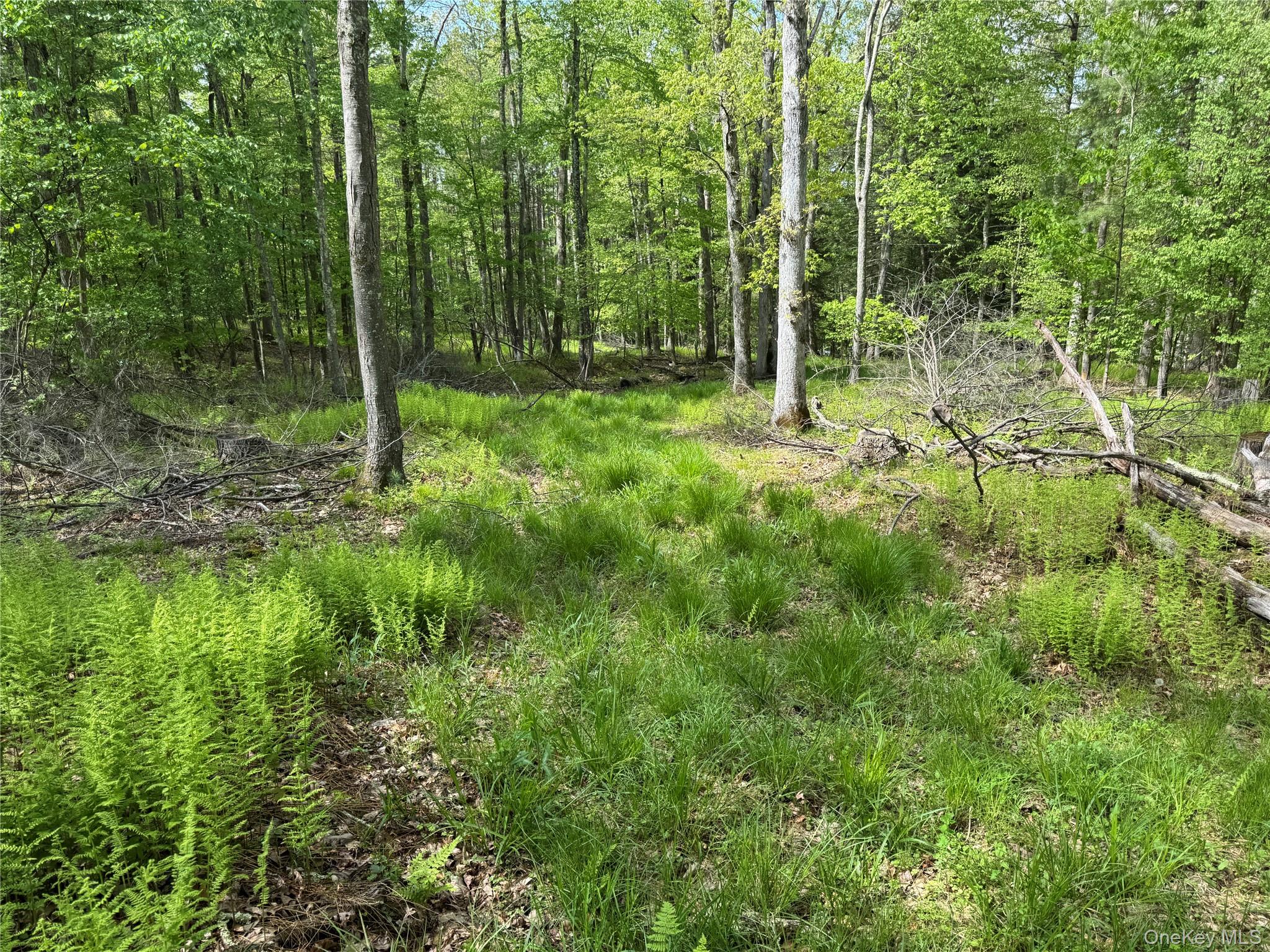 632 New Turnpike Road, Cochecton, NY 12726