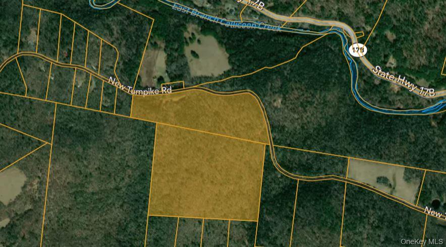 632 New Turnpike Road, Cochecton, NY 12726