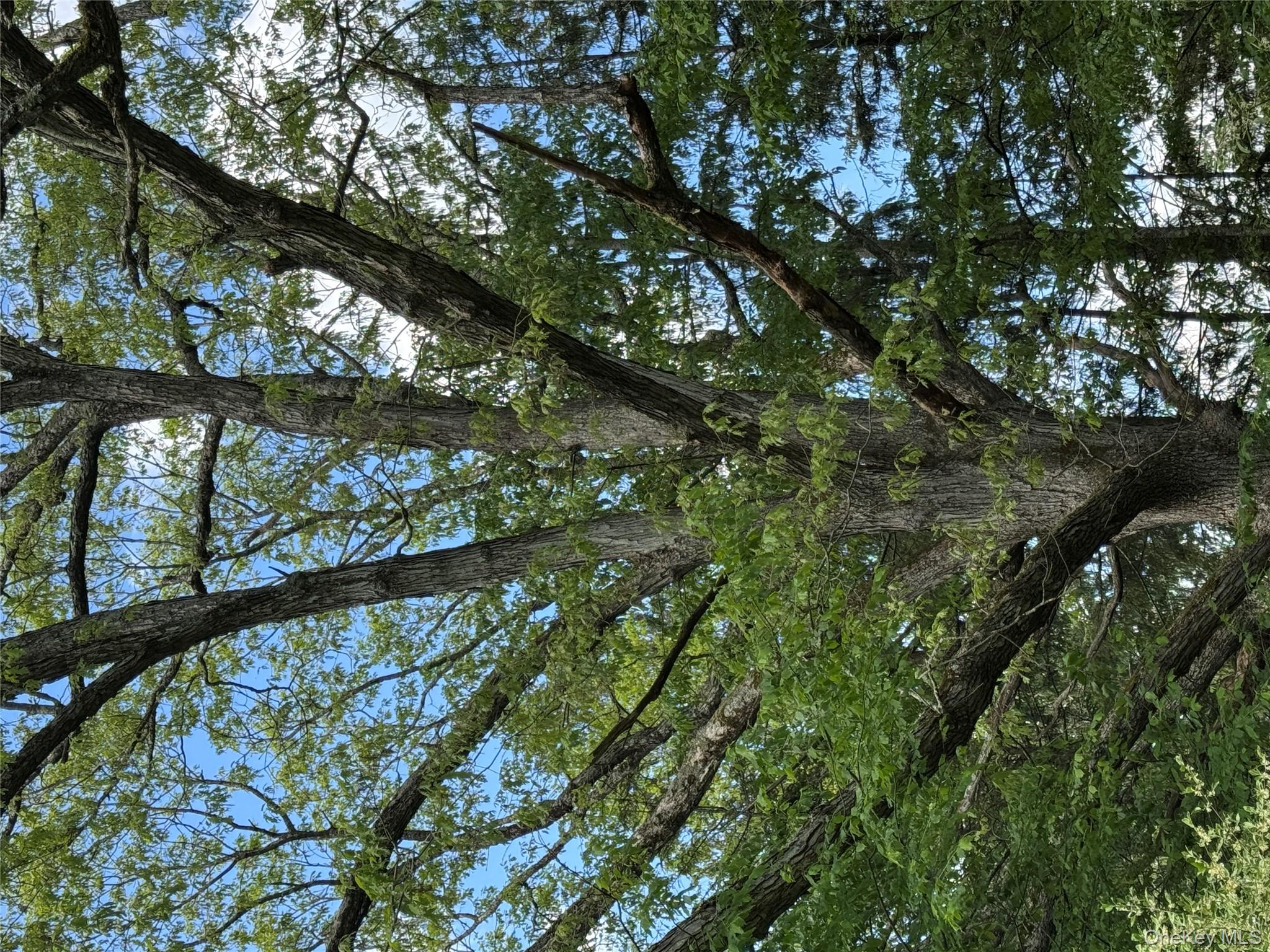 632 New Turnpike Road, Cochecton, NY 12726