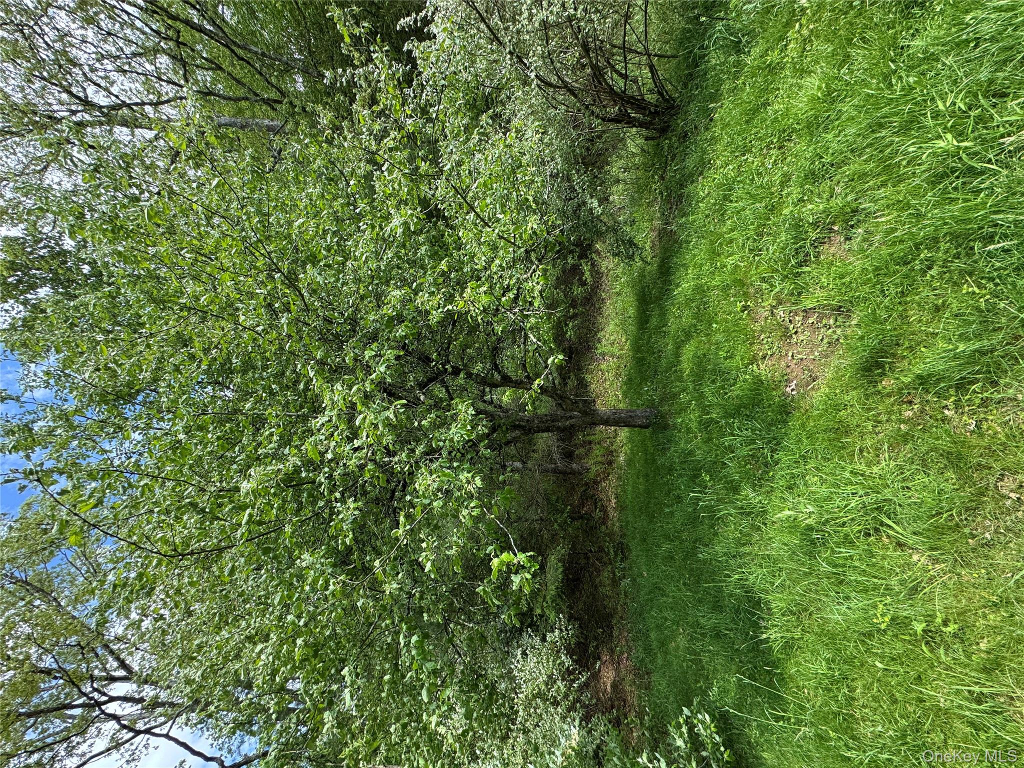 632 New Turnpike Road, Cochecton, NY 12726