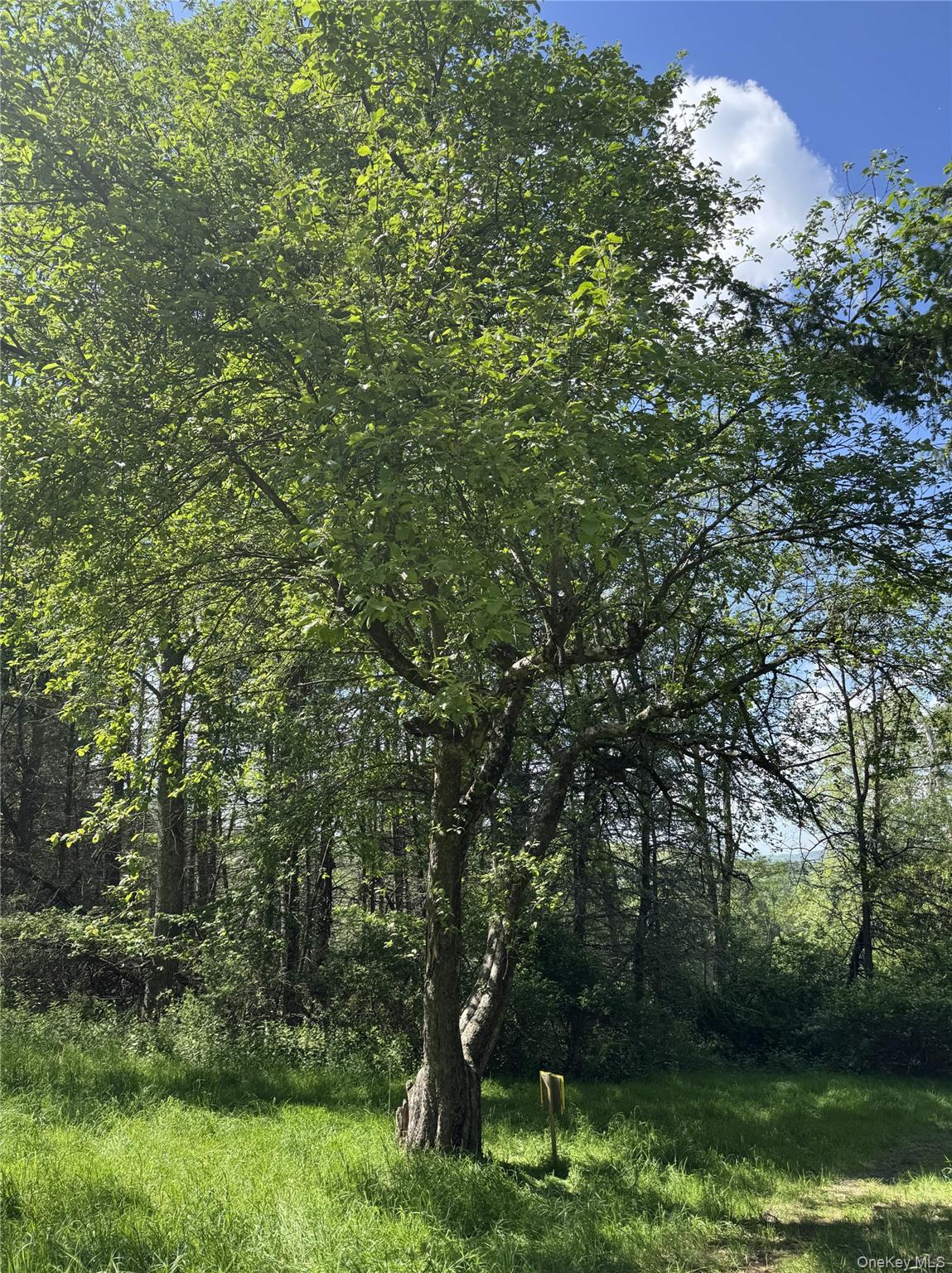 632 New Turnpike Road, Cochecton, NY 12726