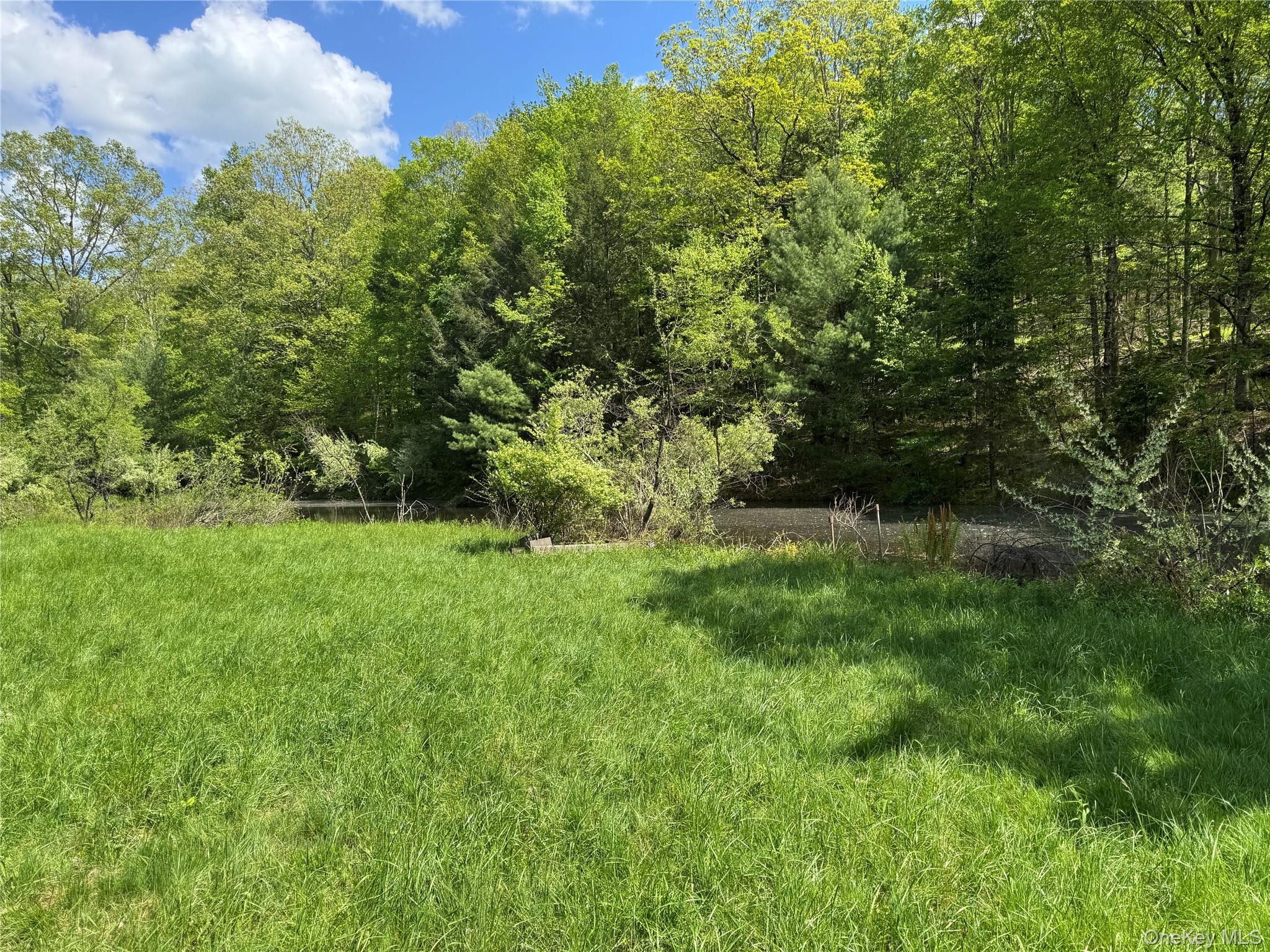 632 New Turnpike Road, Cochecton, NY 12726