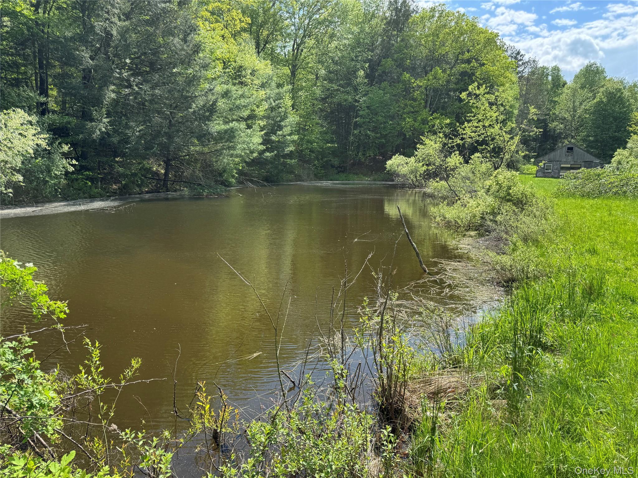 632 New Turnpike Road, Cochecton, NY 12726