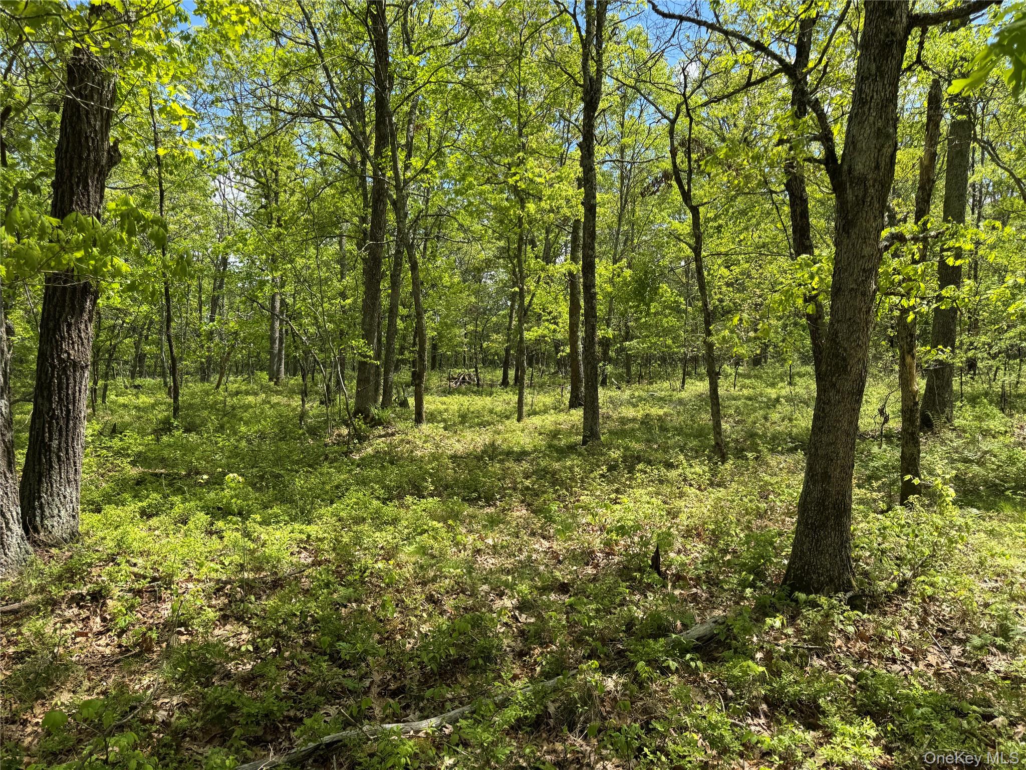 632 New Turnpike Road, Cochecton, NY 12726