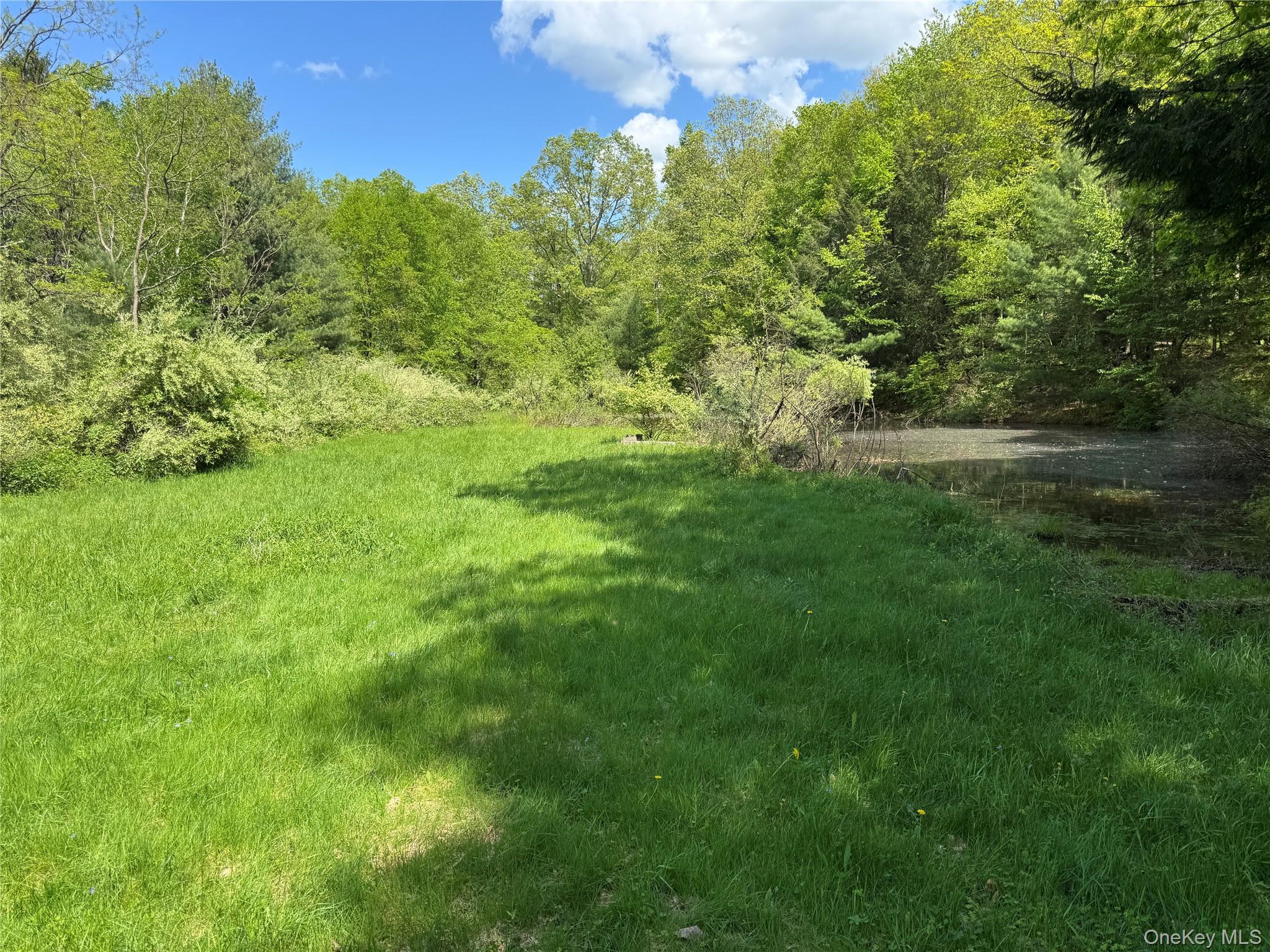 632 New Turnpike Road, Cochecton, NY 12726