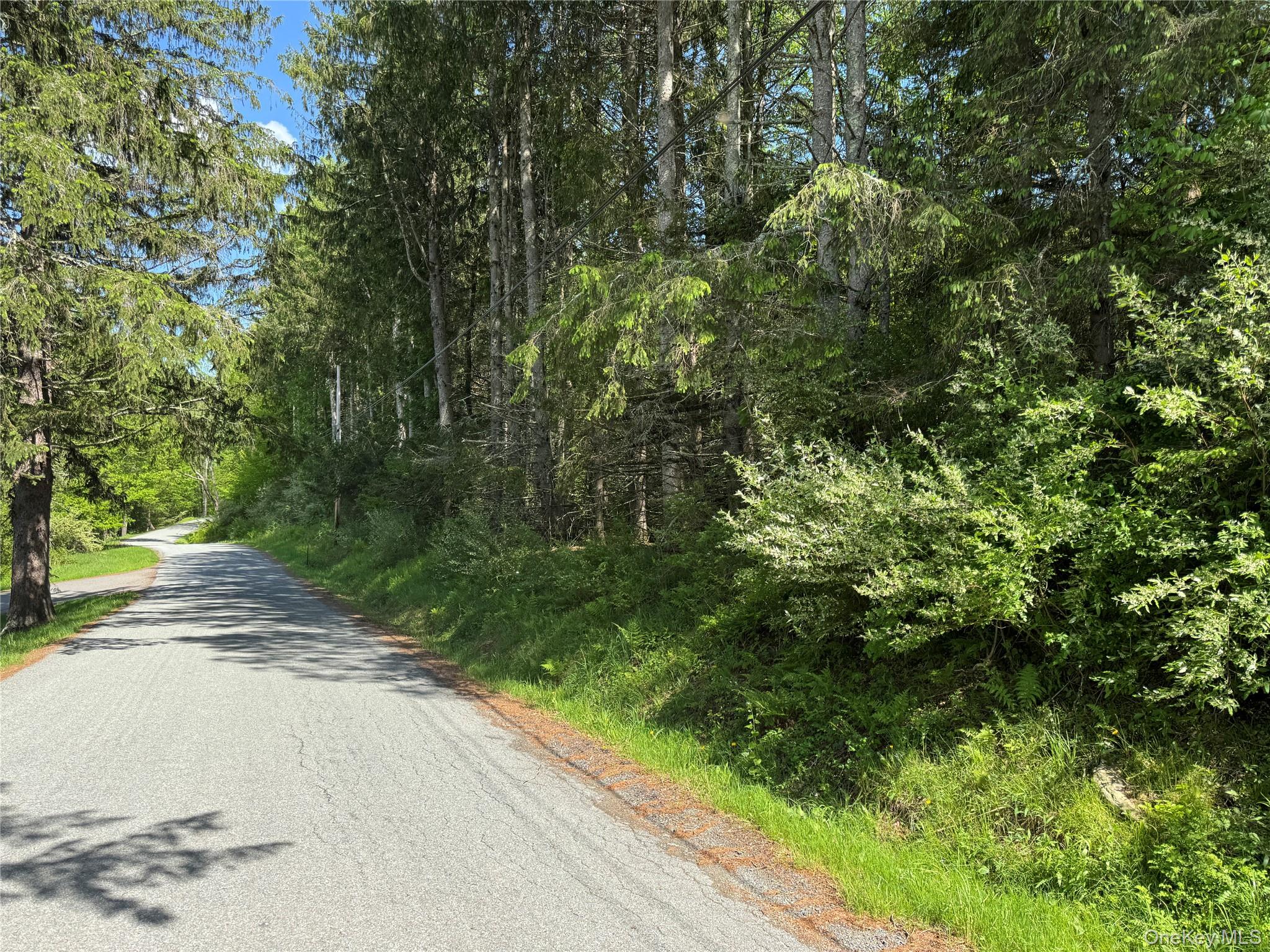 632 New Turnpike Road, Cochecton, NY 12726