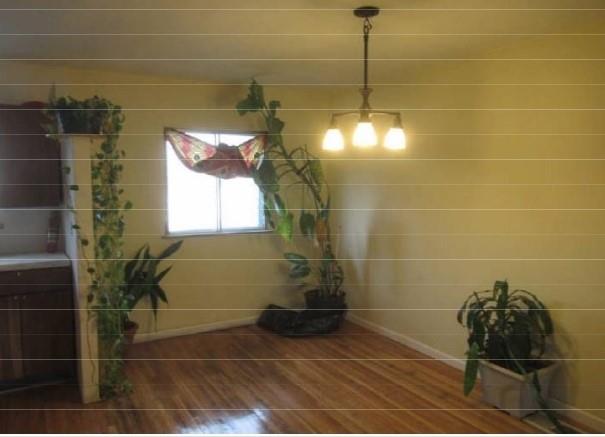 3314 Mickle, Bronx, NY 10469