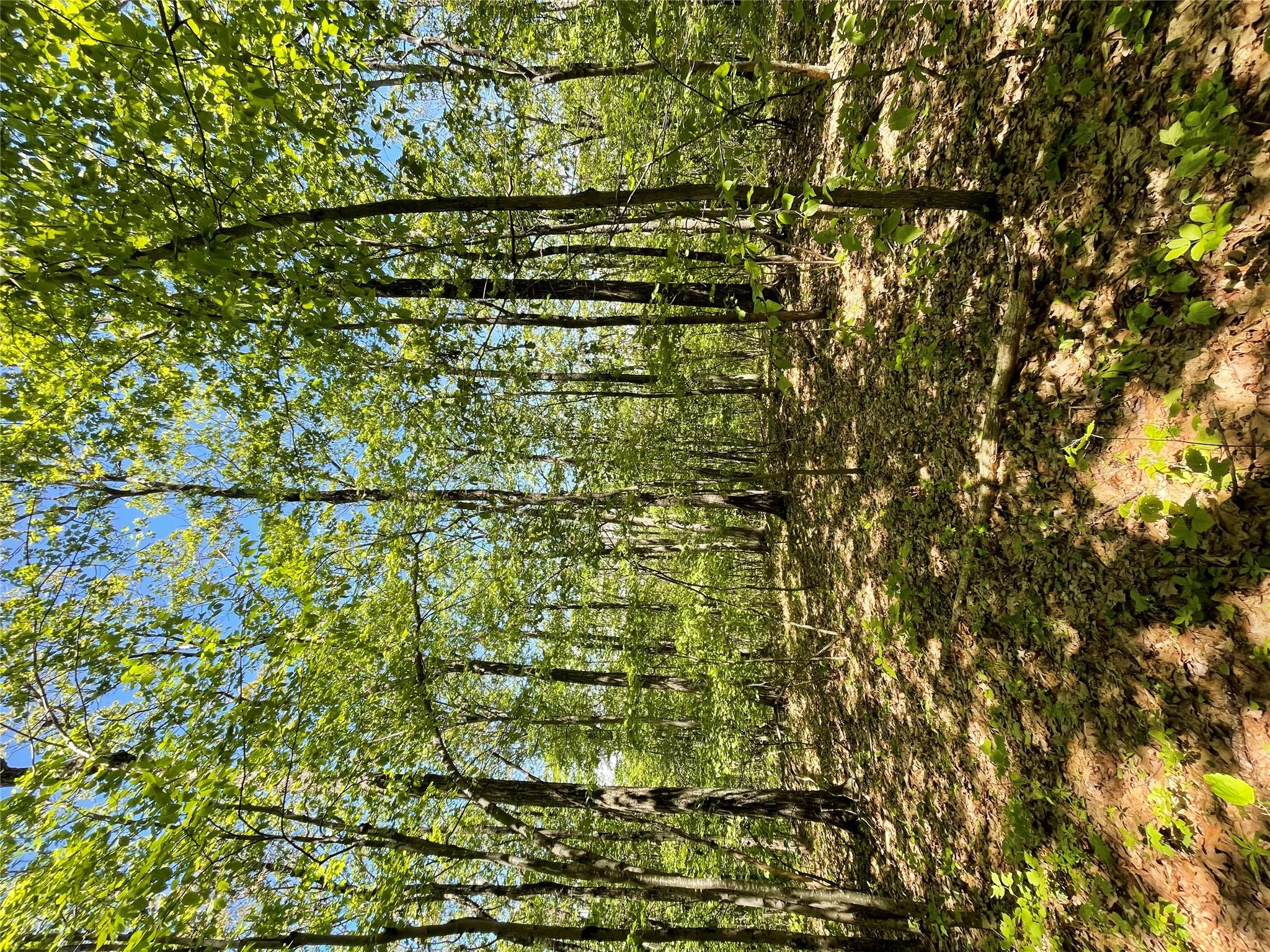 710 Smithfield Road, Millerton, NY 12546