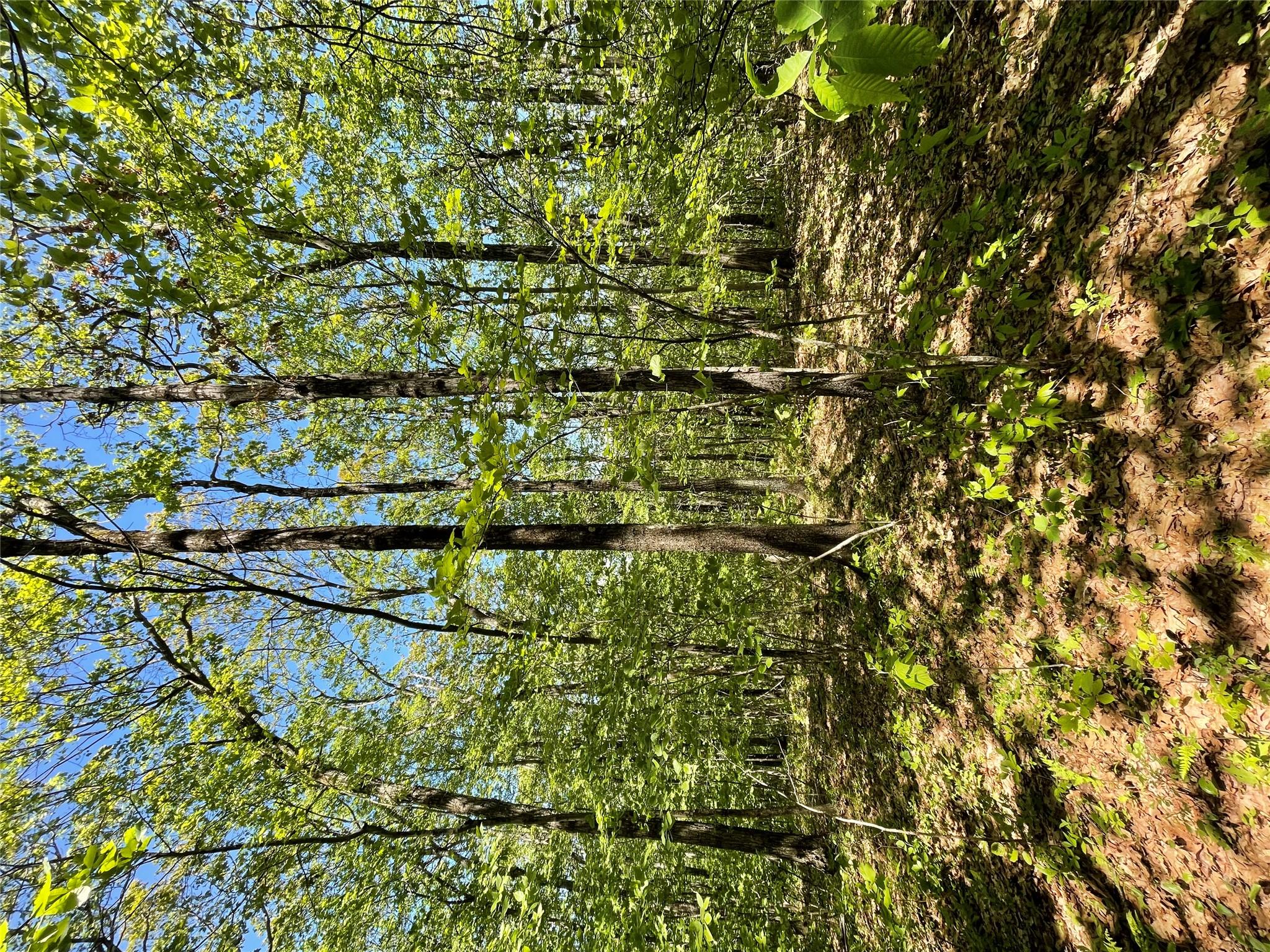 710 Smithfield Road, Millerton, NY 12546