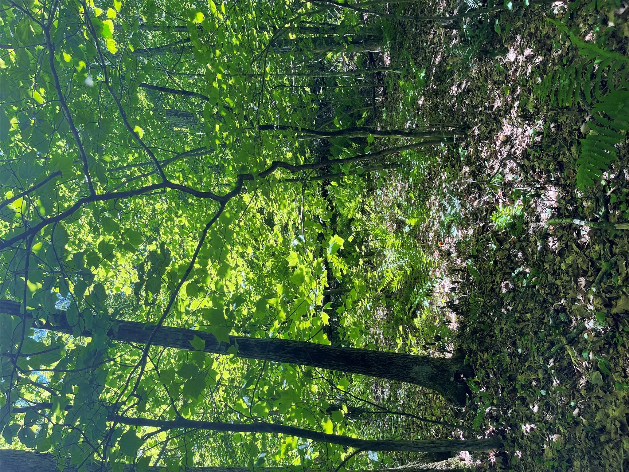 710 Smithfield Road, Millerton, NY 12546