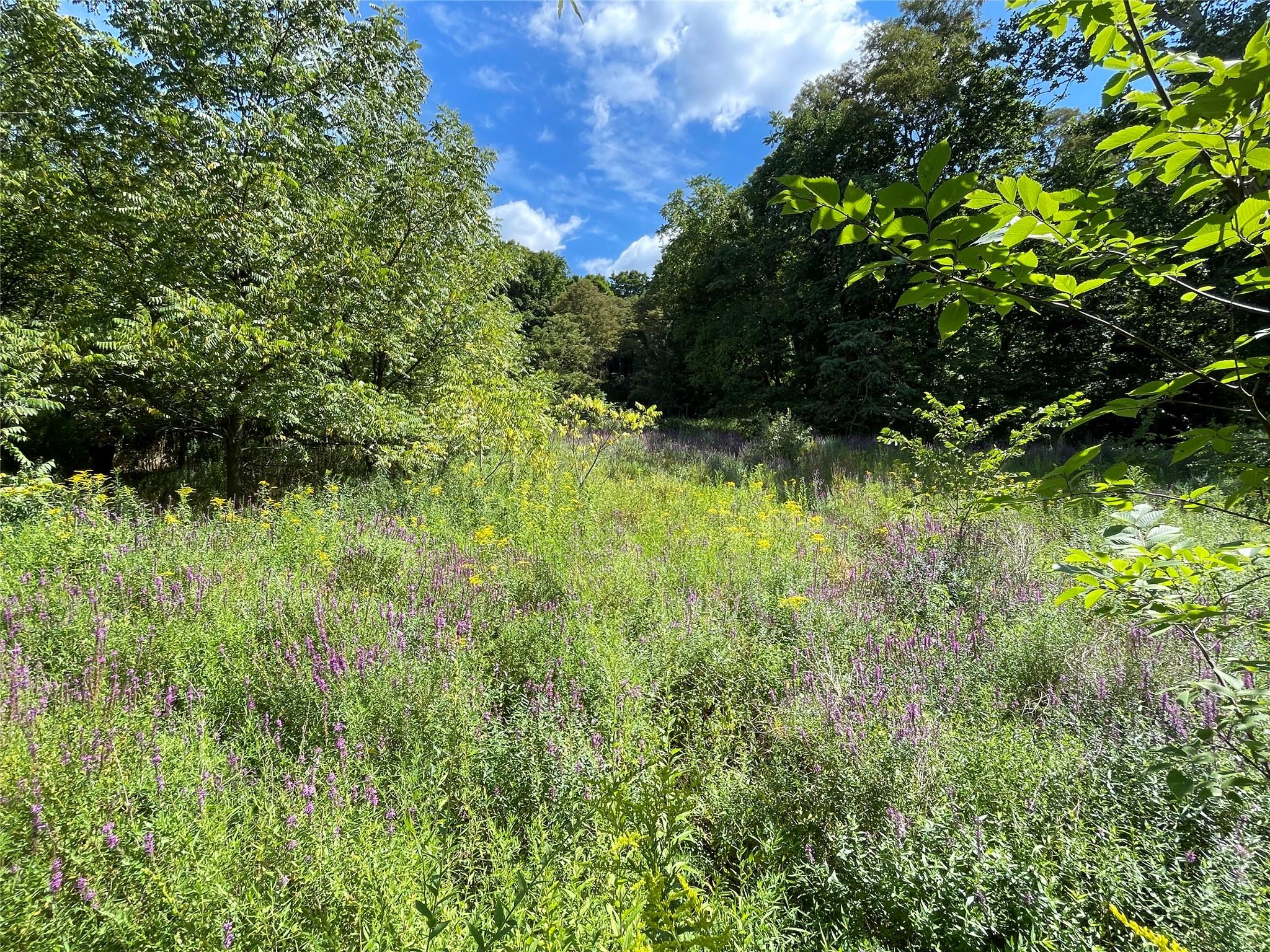 24 Beck Road, Poughkeepsie, NY 12601