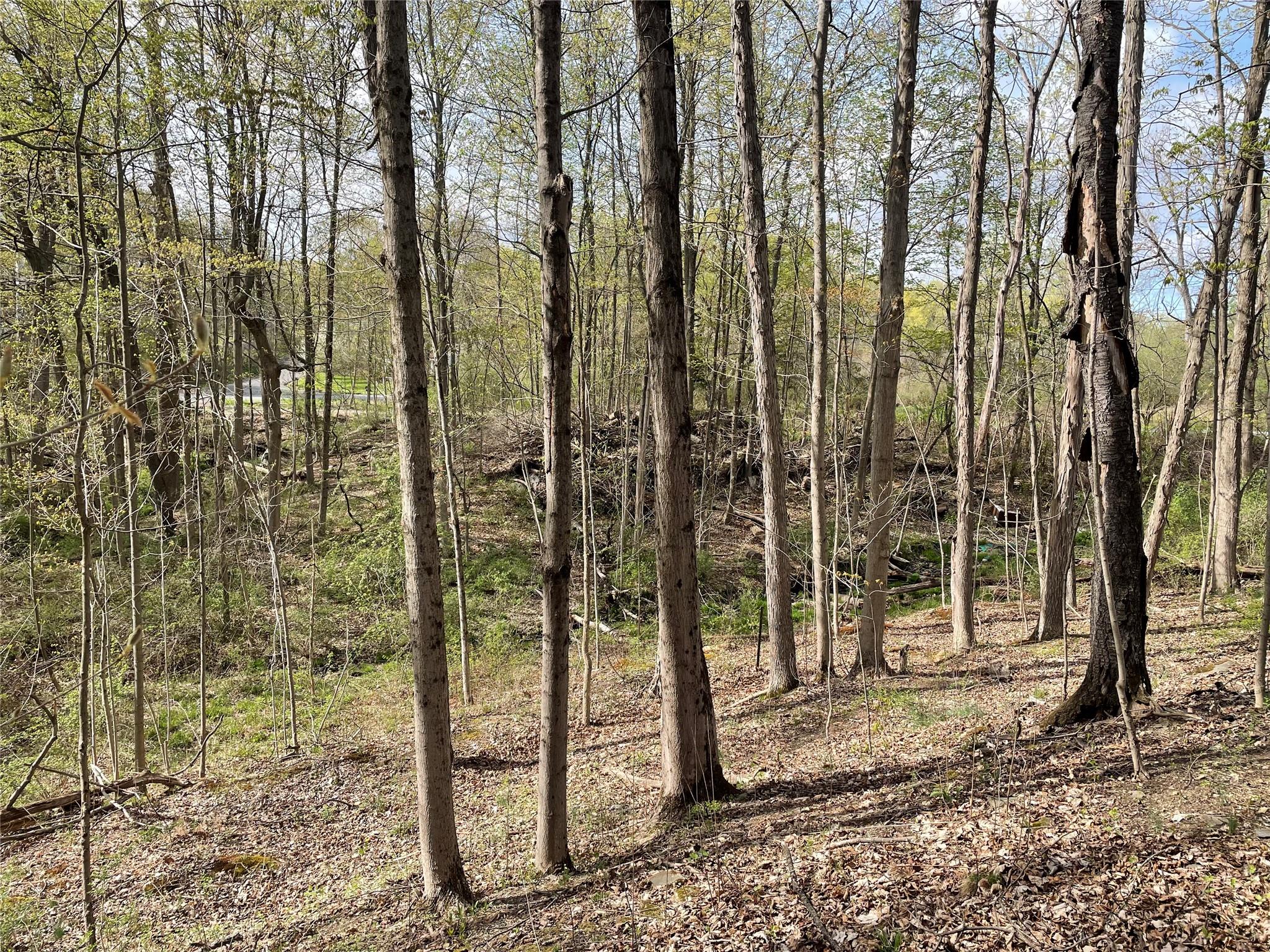 24 Beck Road, Poughkeepsie, NY 12601