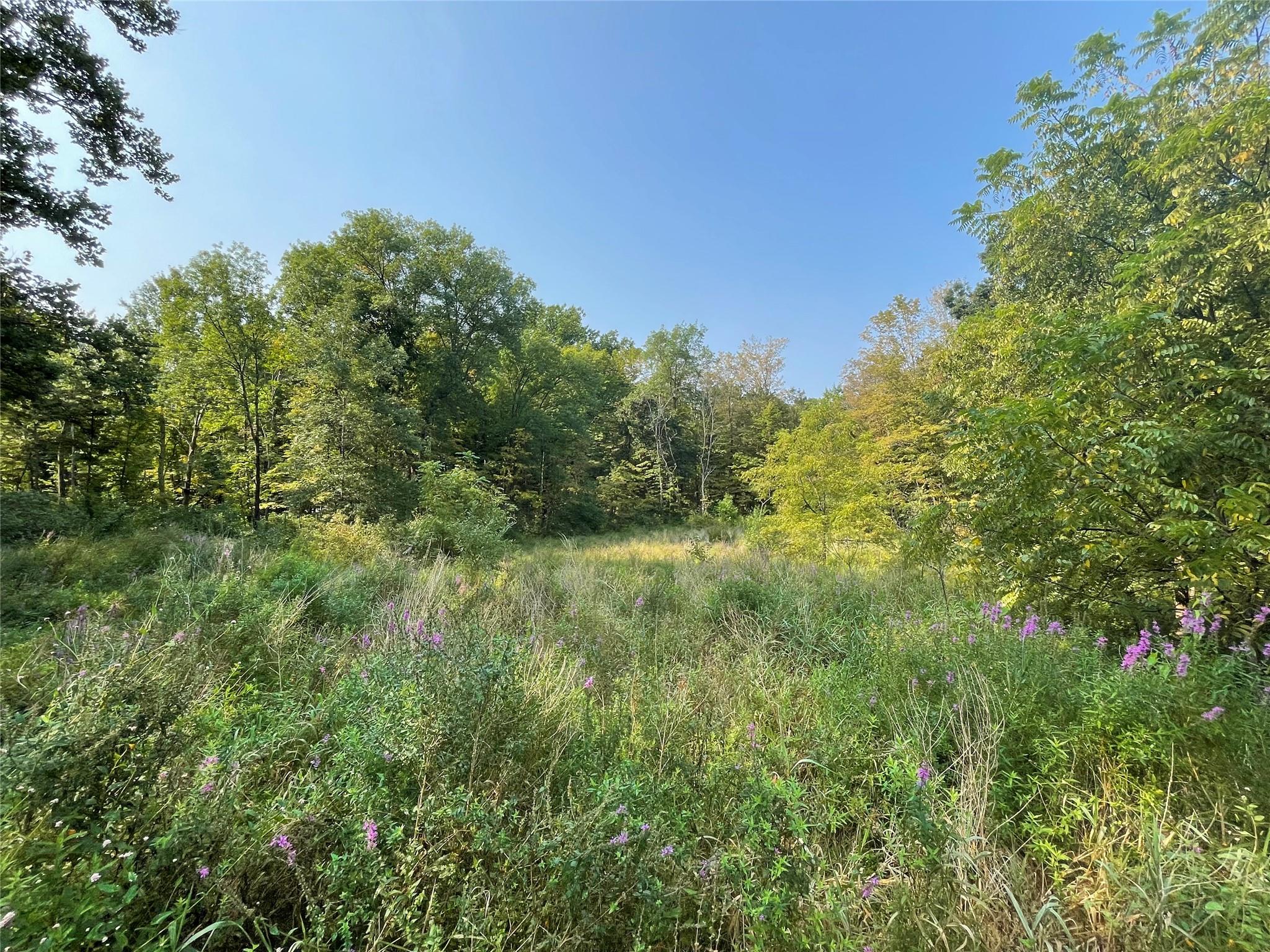 24 Beck Road, Poughkeepsie, NY 12601