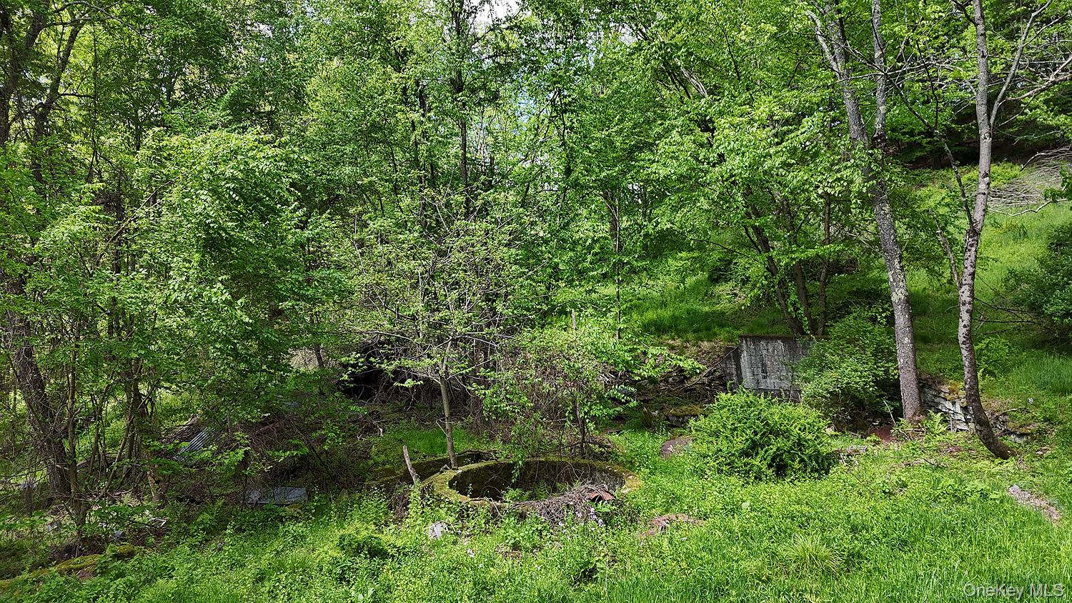 12 Henderson Road, Fremont, NY 12741