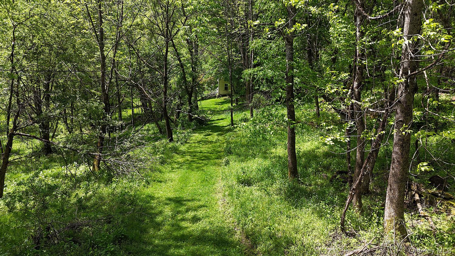 12 Henderson Road, Fremont, NY 12741