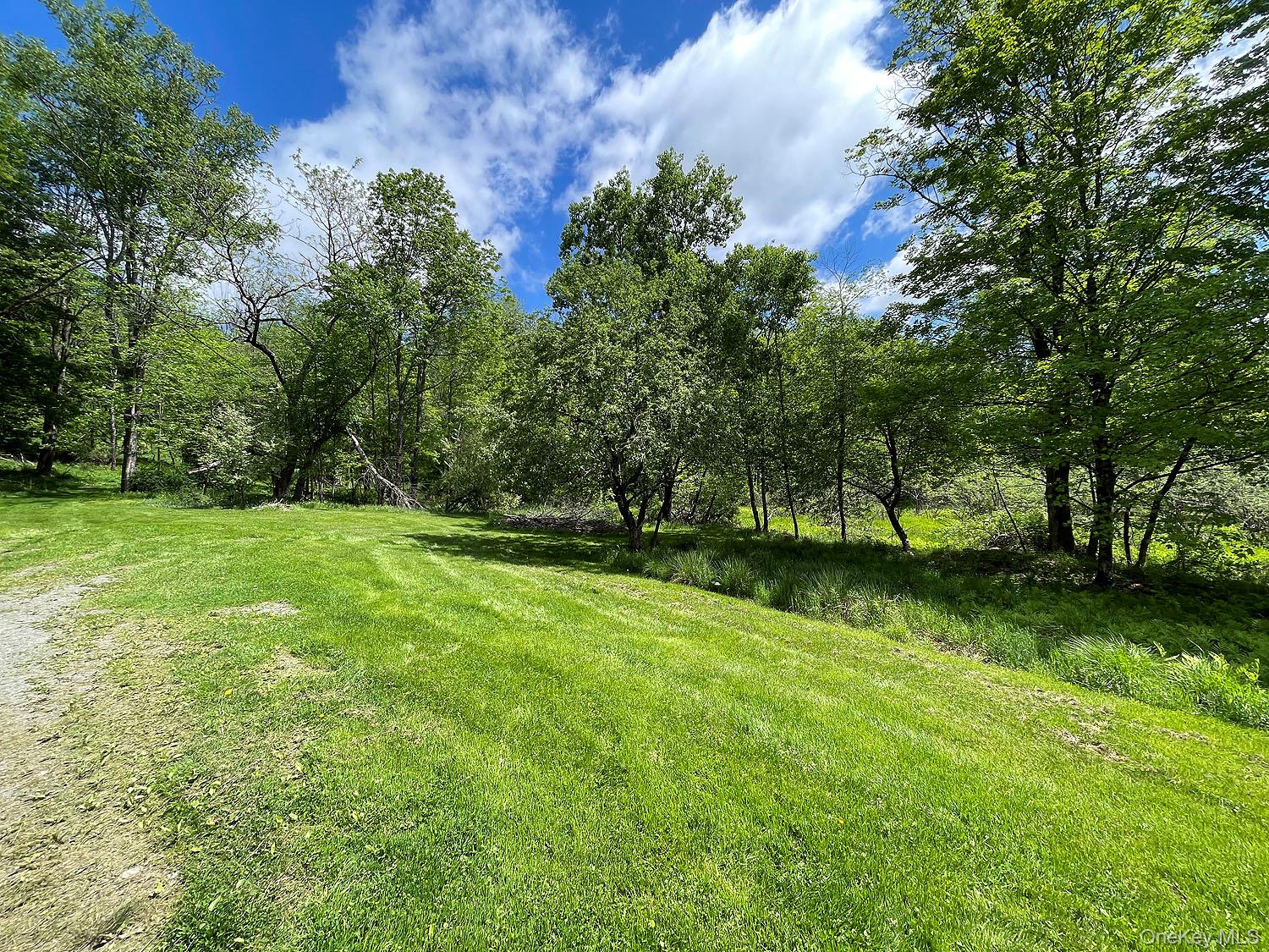 12 Henderson Road, Fremont, NY 12741