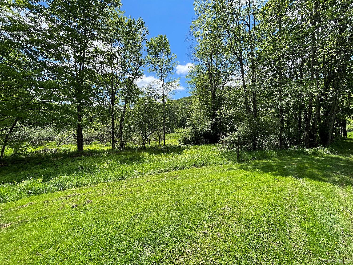 12 Henderson Road, Fremont, NY 12741