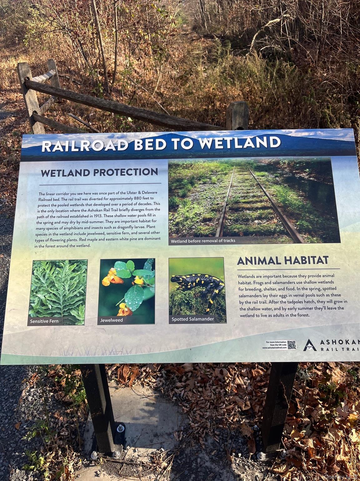 2 Shokan Park Road, Shokan, NY 12481