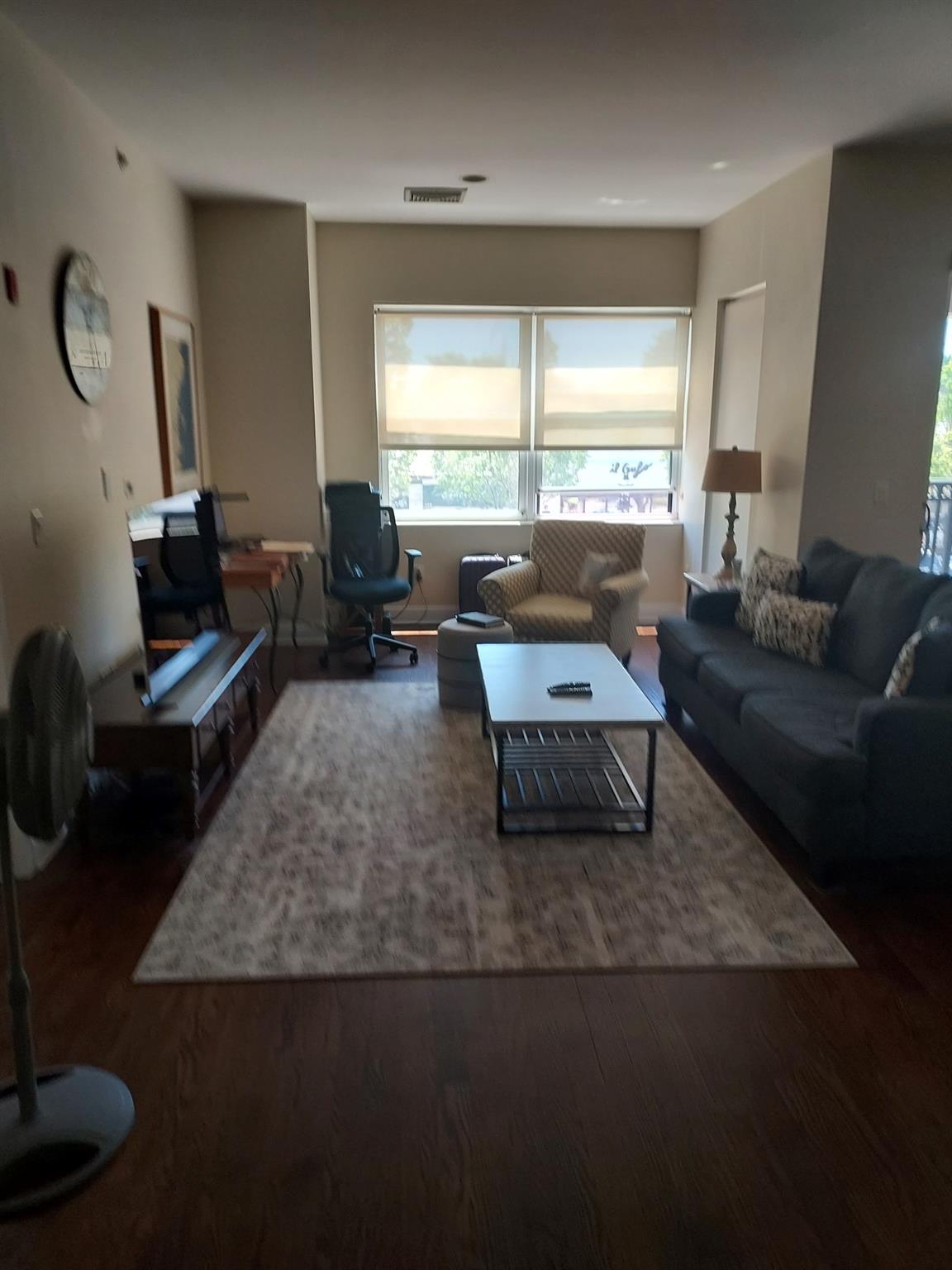 191 7th Street # 207, Garden City, NY 11530