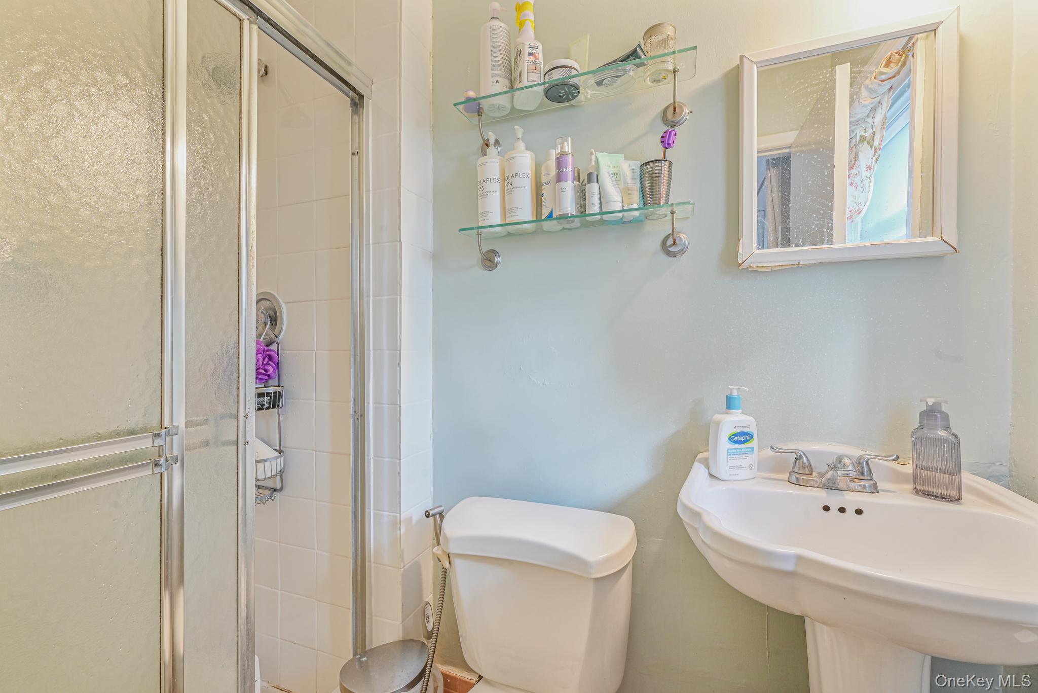 216 Birch Drive, New Hyde Park, NY 11040