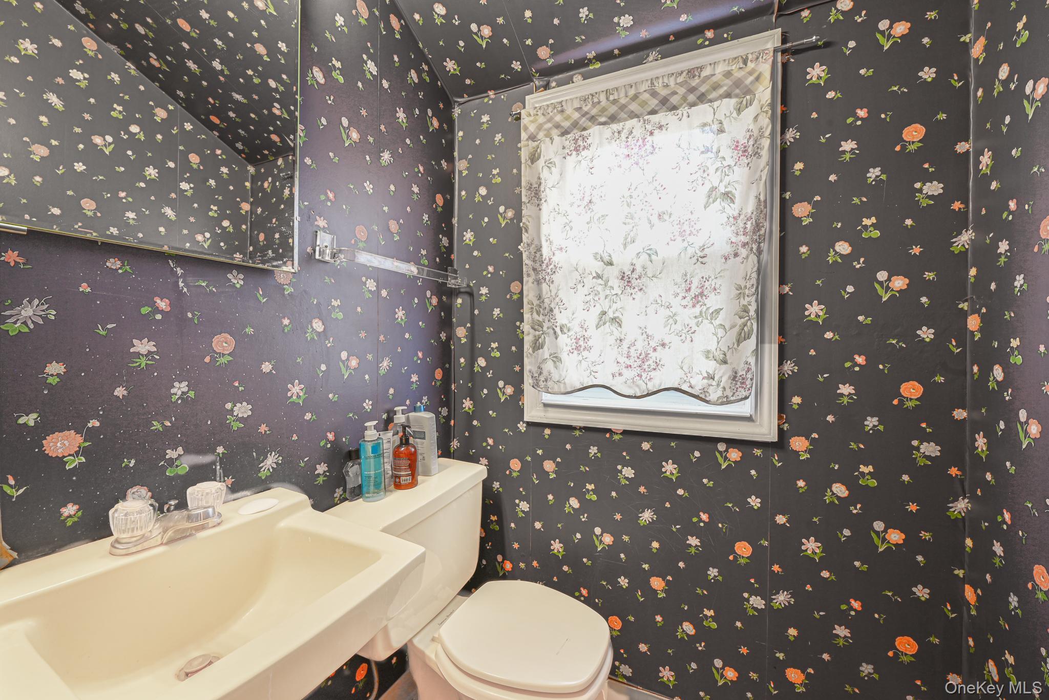 216 Birch Drive, New Hyde Park, NY 11040