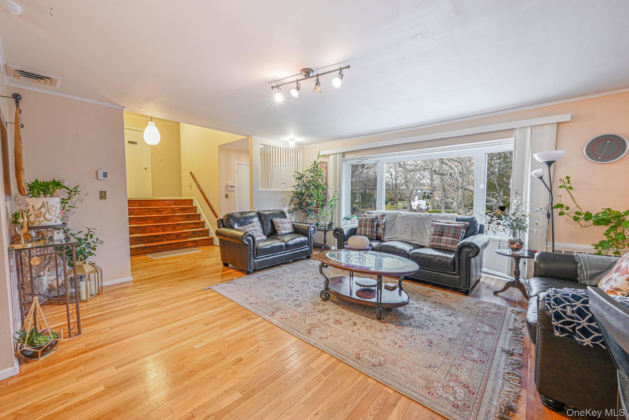 216 Birch Drive, New Hyde Park, NY 11040