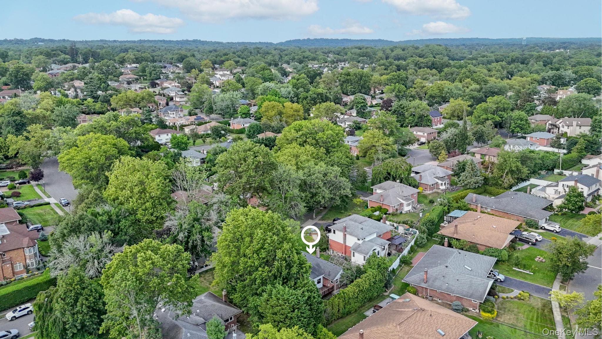 216 Birch Drive, New Hyde Park, NY 11040