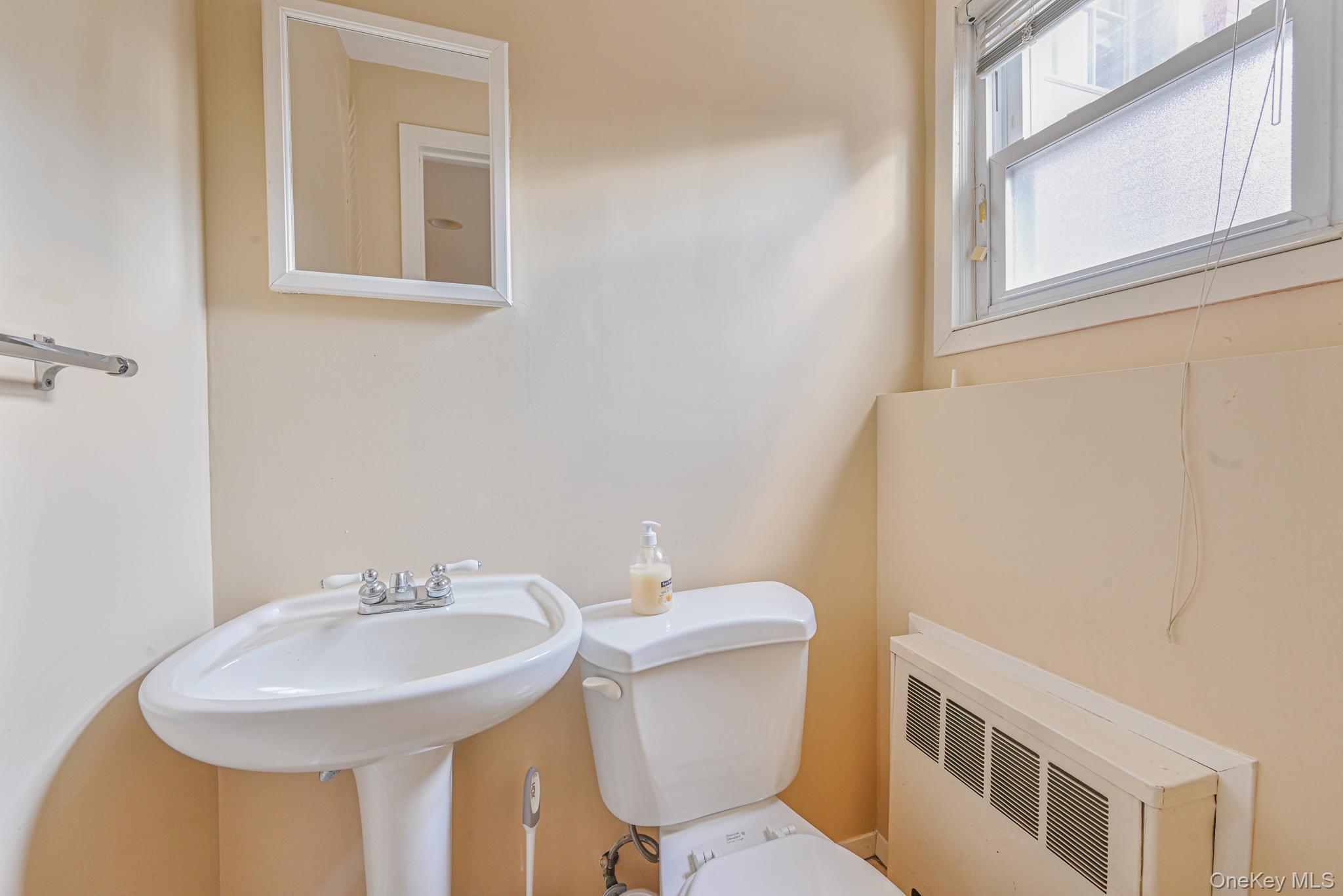 216 Birch Drive, New Hyde Park, NY 11040