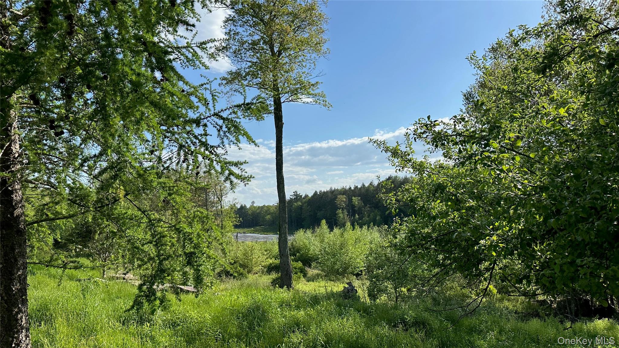 674 Sackett Lake Road, Monticello, NY 12701