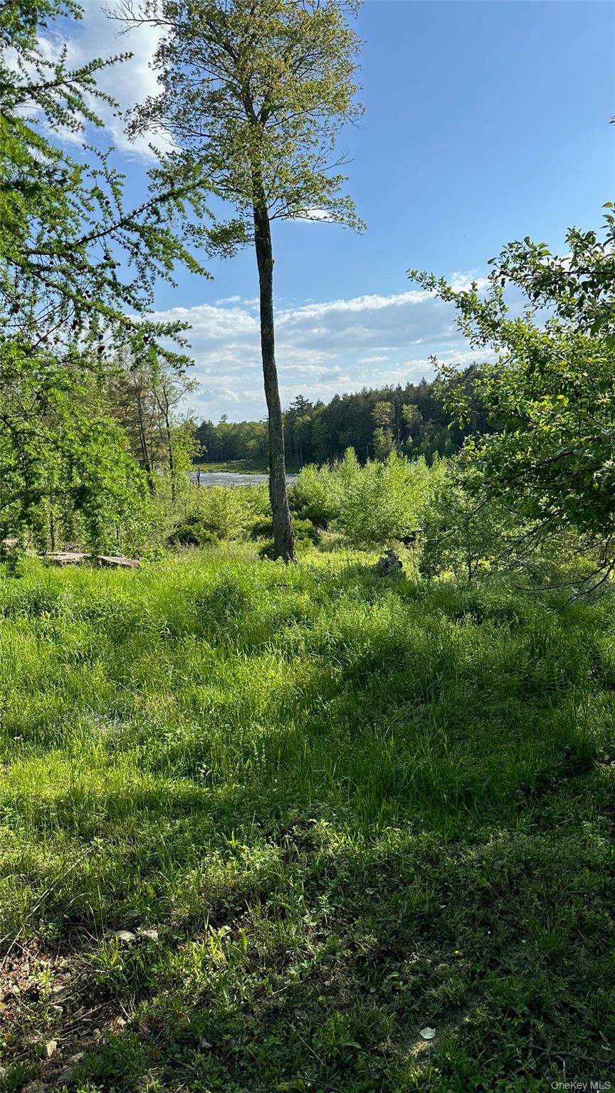 674 Sackett Lake Road, Monticello, NY 12701