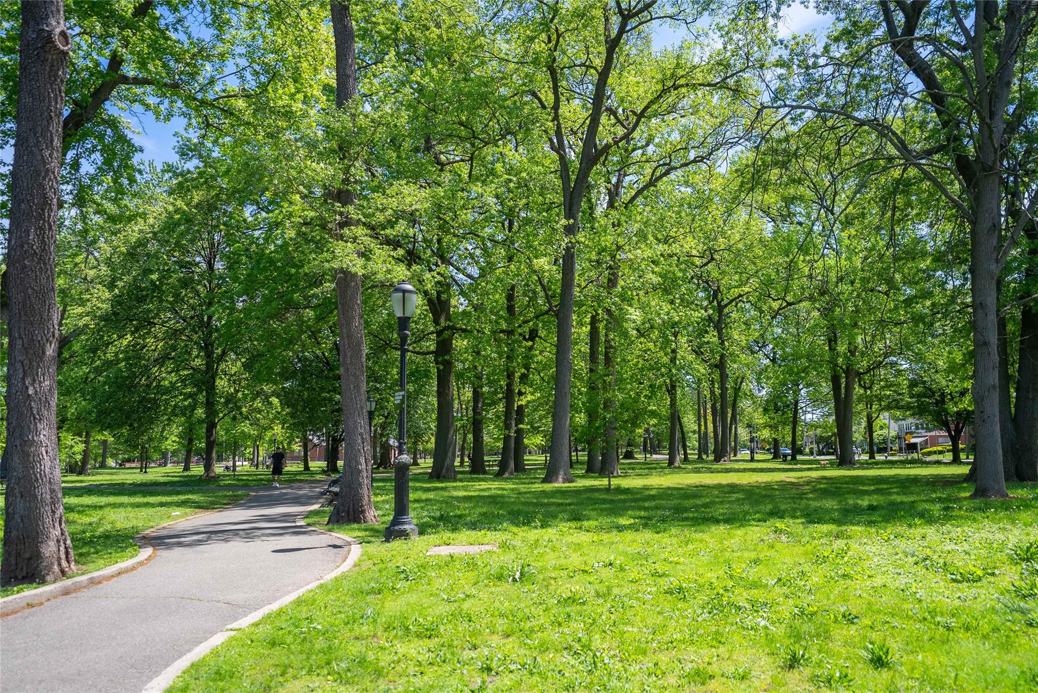 3225 155th Street, Flushing, NY 11354