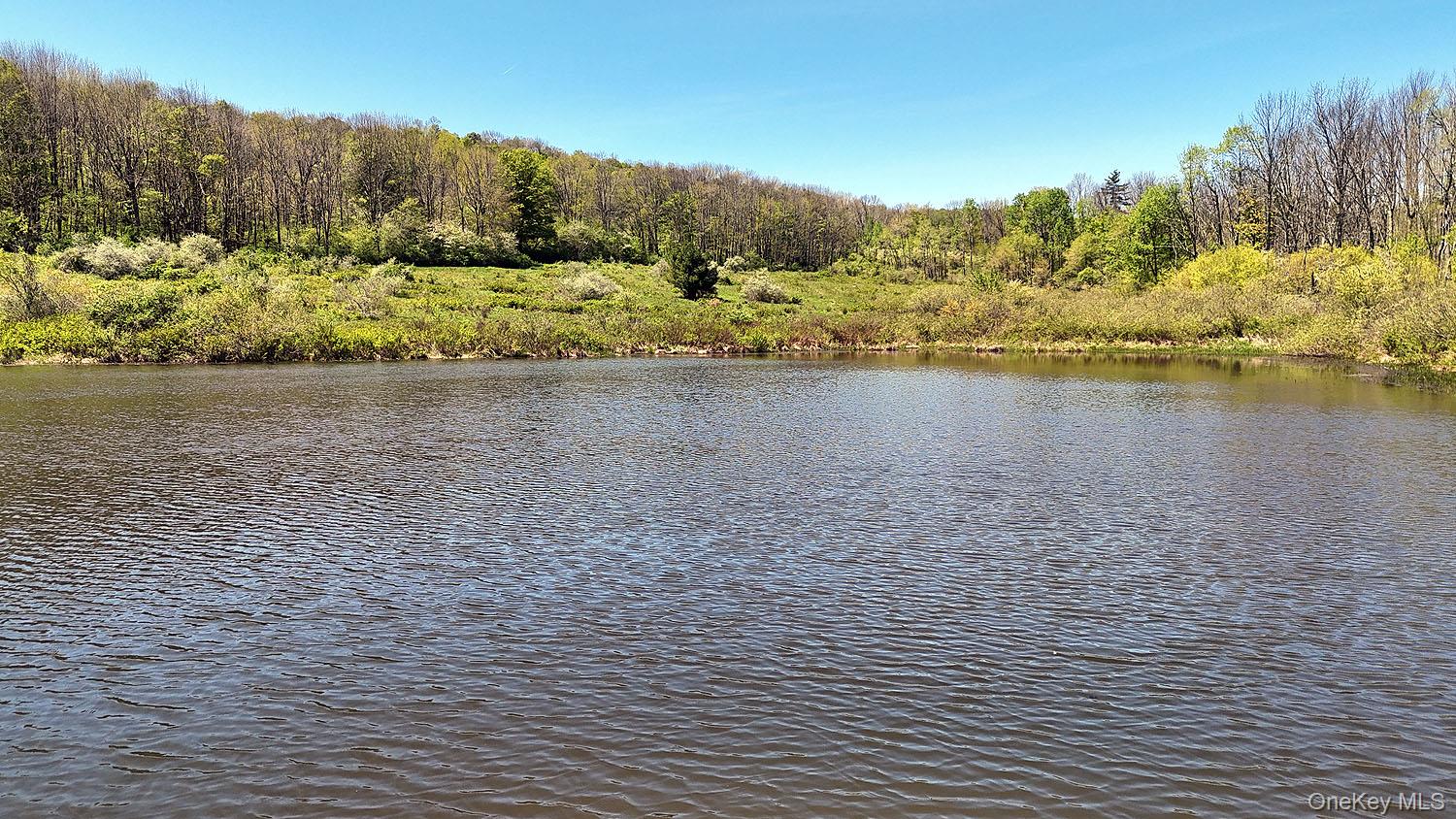 3392 Eminence Road, Hancock, NY 13783