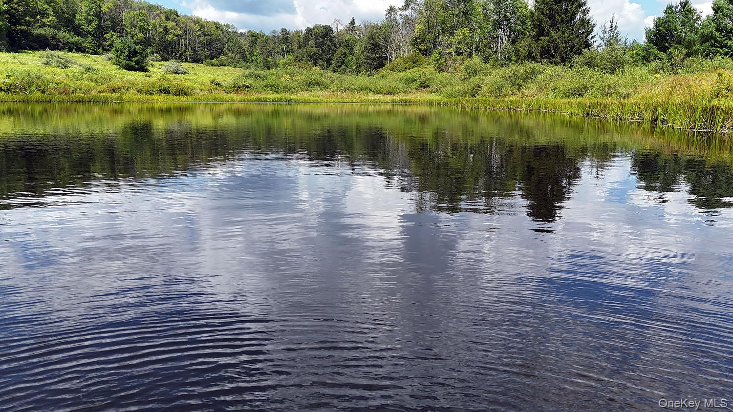 3392 Eminence Road, Hancock, NY 13783