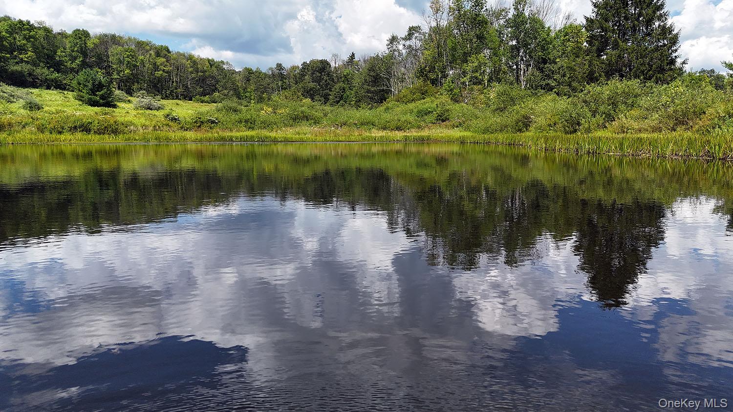 3392 Eminence Road, Hancock, NY 13783