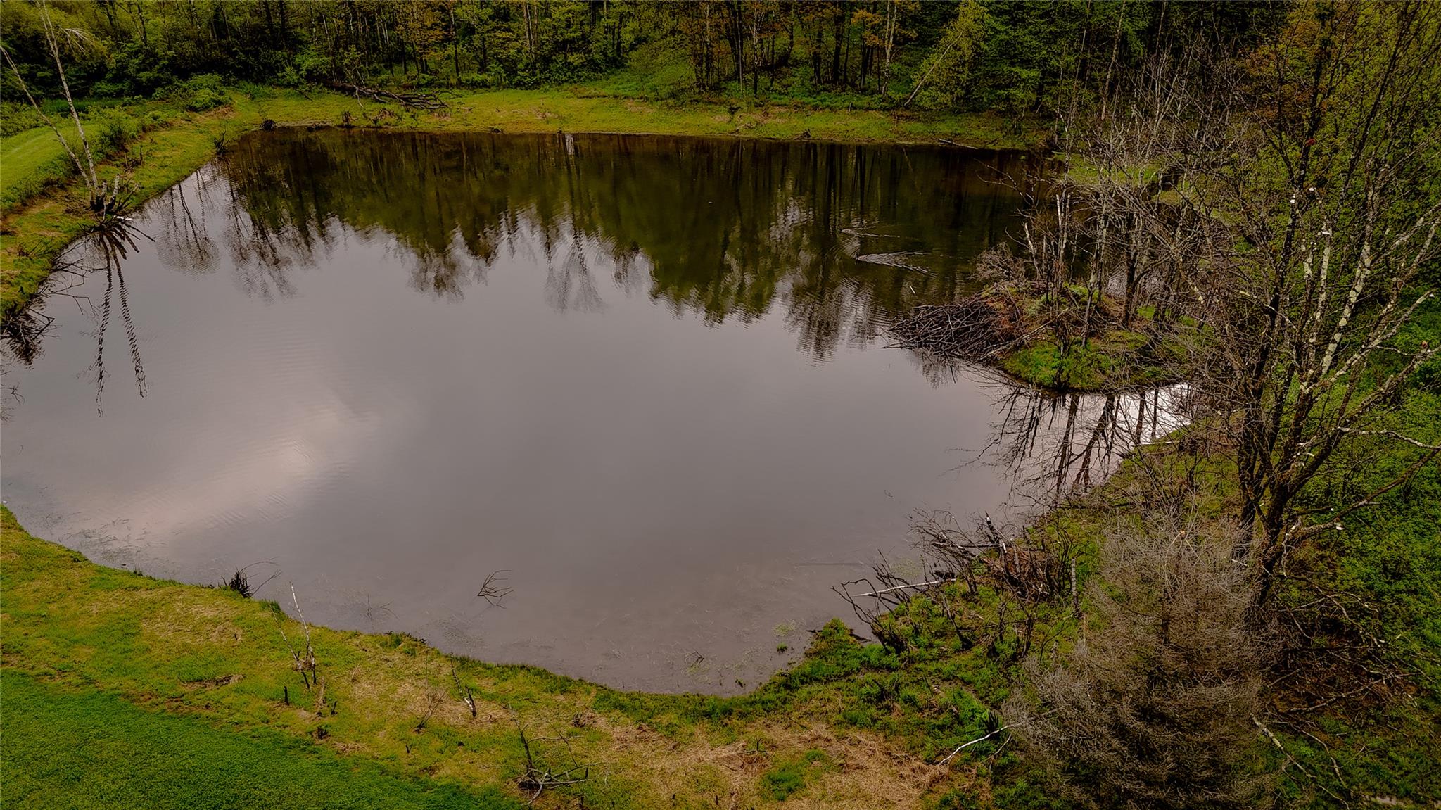 187 Hahn Road, Callicoon Center, NY 12758