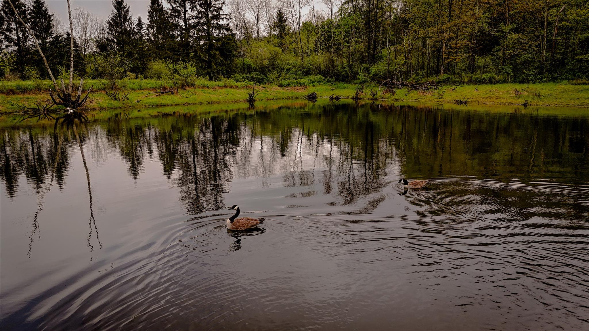 187 Hahn Road, Callicoon Center, NY 12758