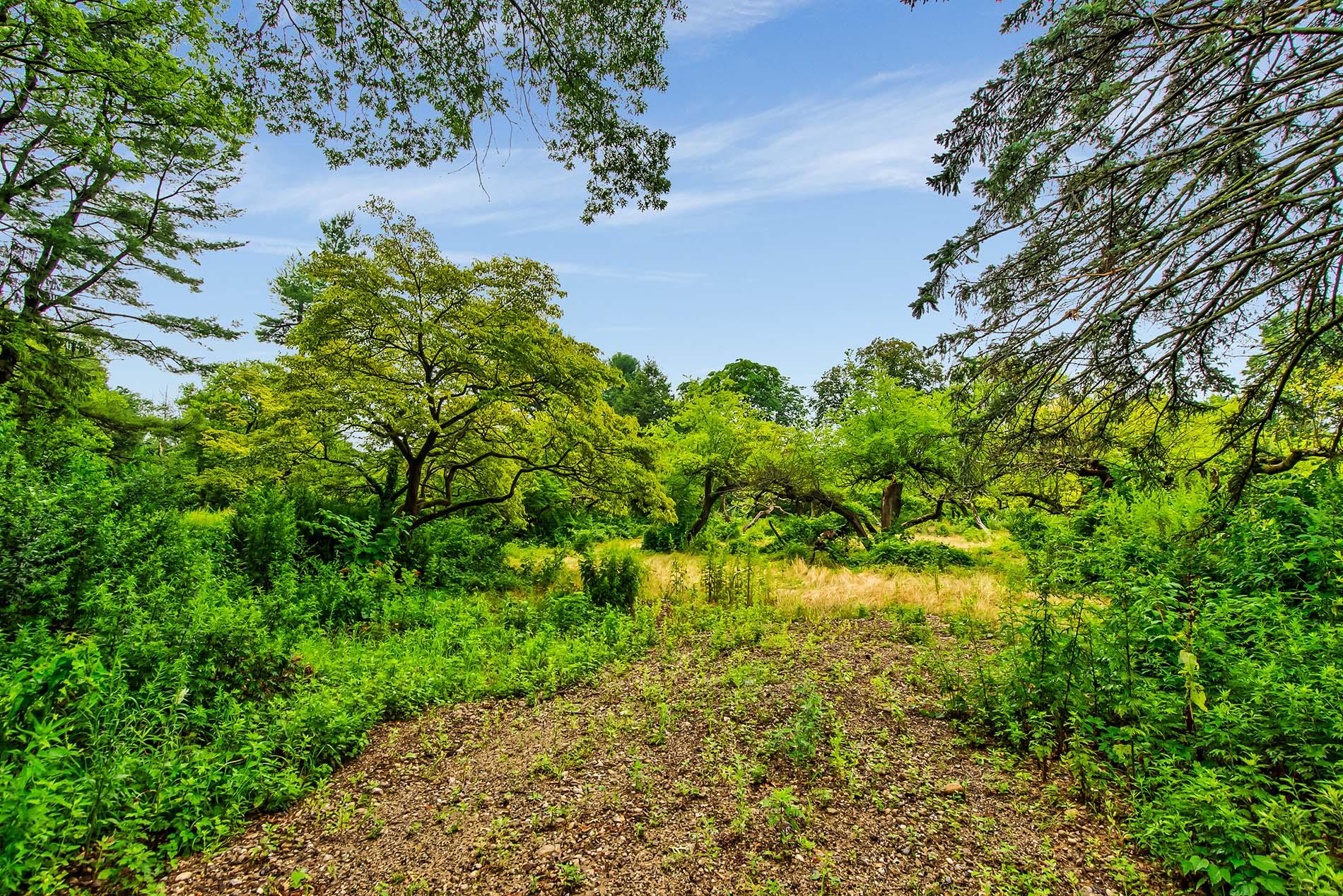 168 Hegemans Lane, Old Brookville, NY 11545