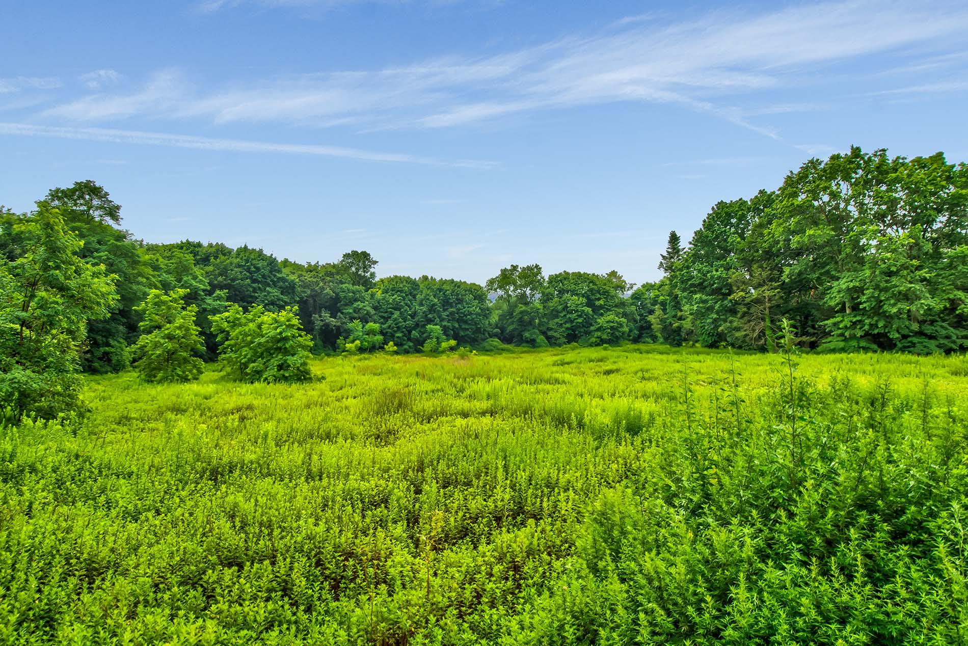 168 Hegemans Lane, Old Brookville, NY 11545