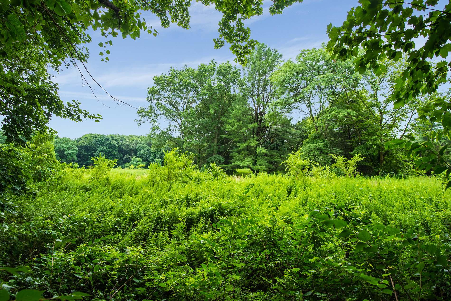 170 Hegemans Lane, Old Brookville, NY 11545