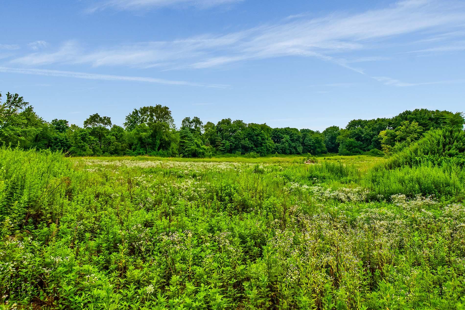 172 Hegemans Lane, Old Brookville, NY 11545