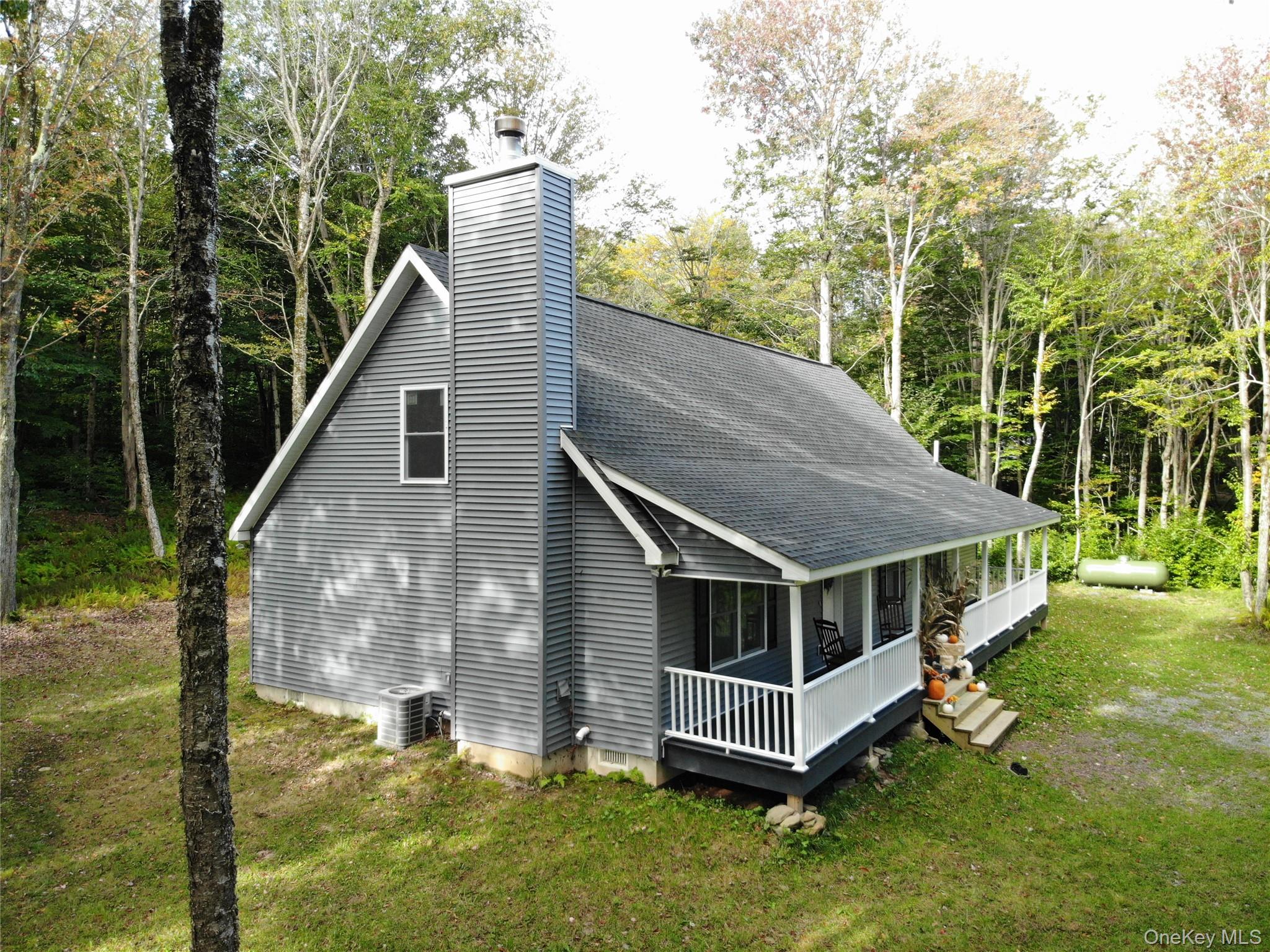 68 Schleiermacher Road, Livingston Manor, NY 12758