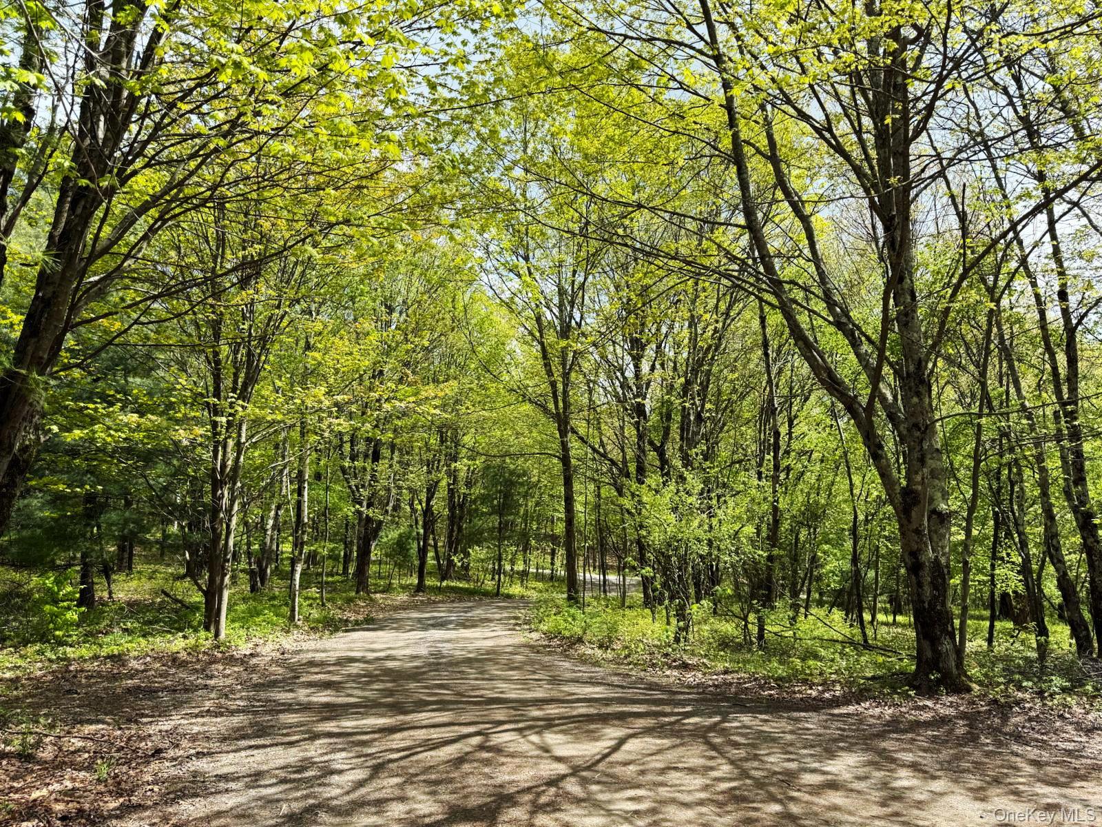 25 Ridge Road, East Chatham, NY 12060