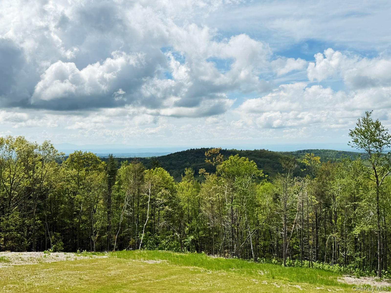 25 Ridge Road, East Chatham, NY 12060