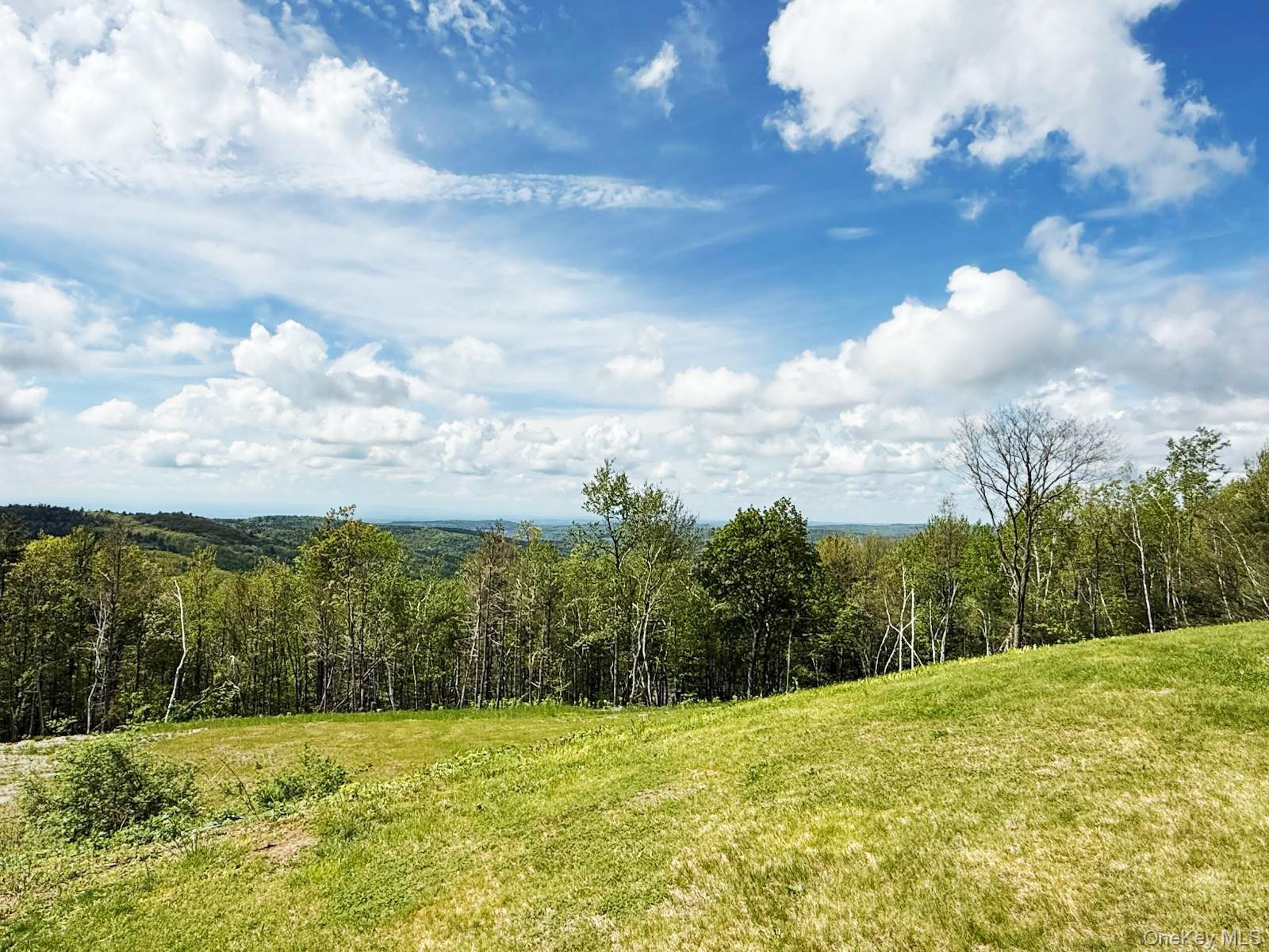 25 Ridge Road, East Chatham, NY 12060