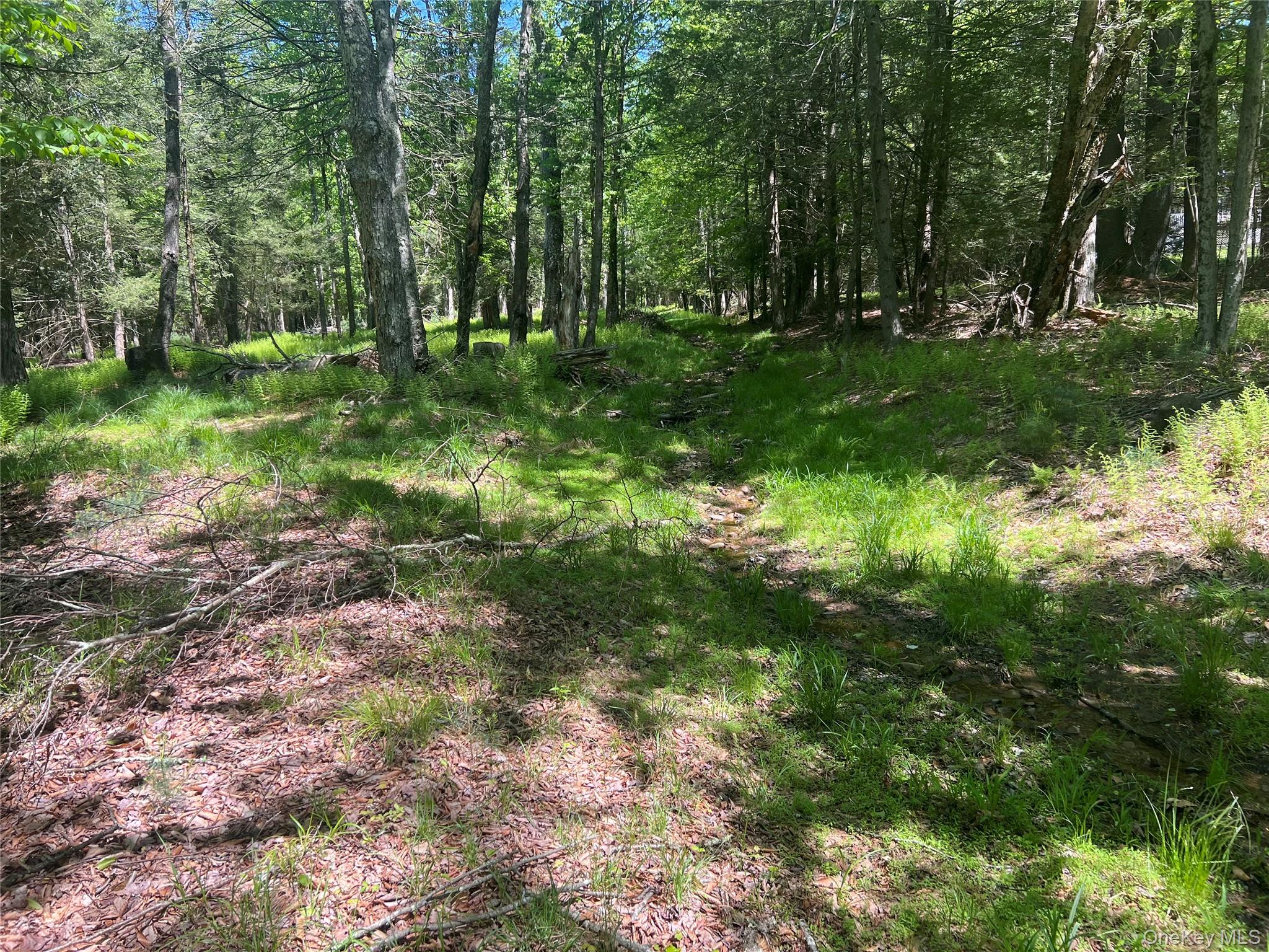 95 Old Tacy Road, Swan Lake, NY 12783